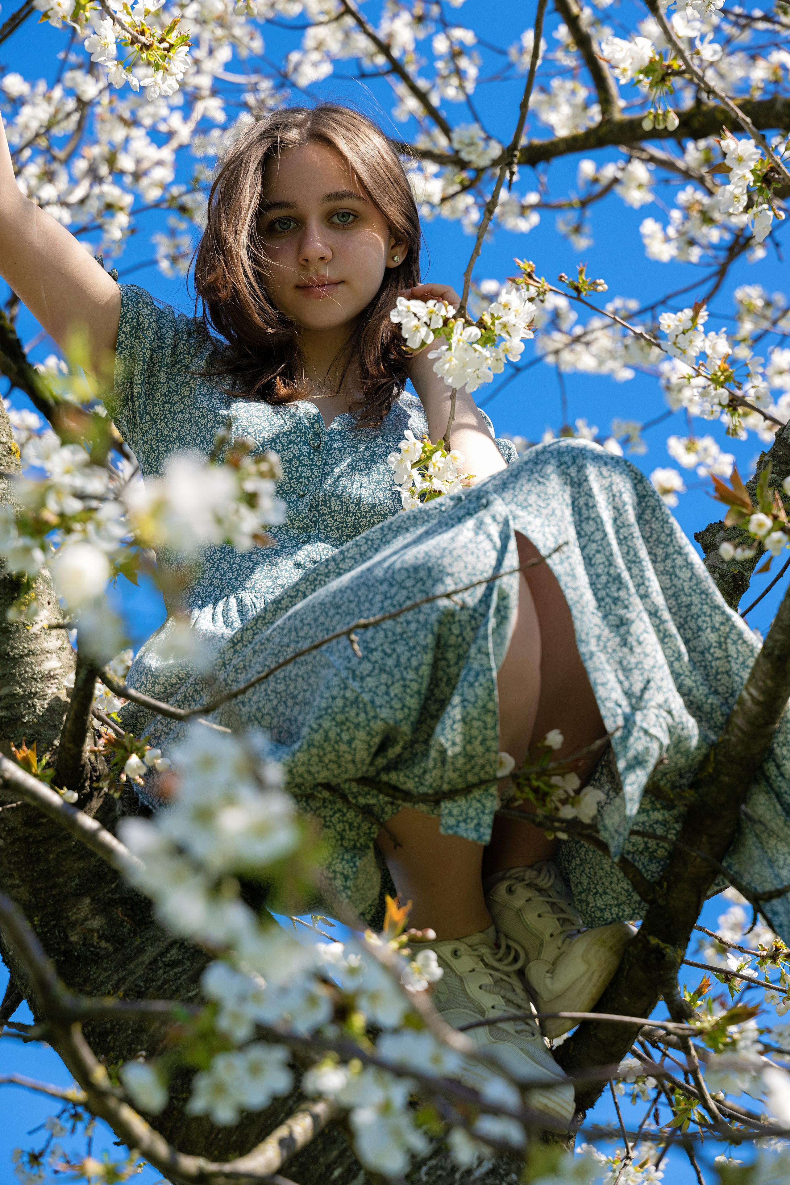 Смешанное цветение и зелень. Главная