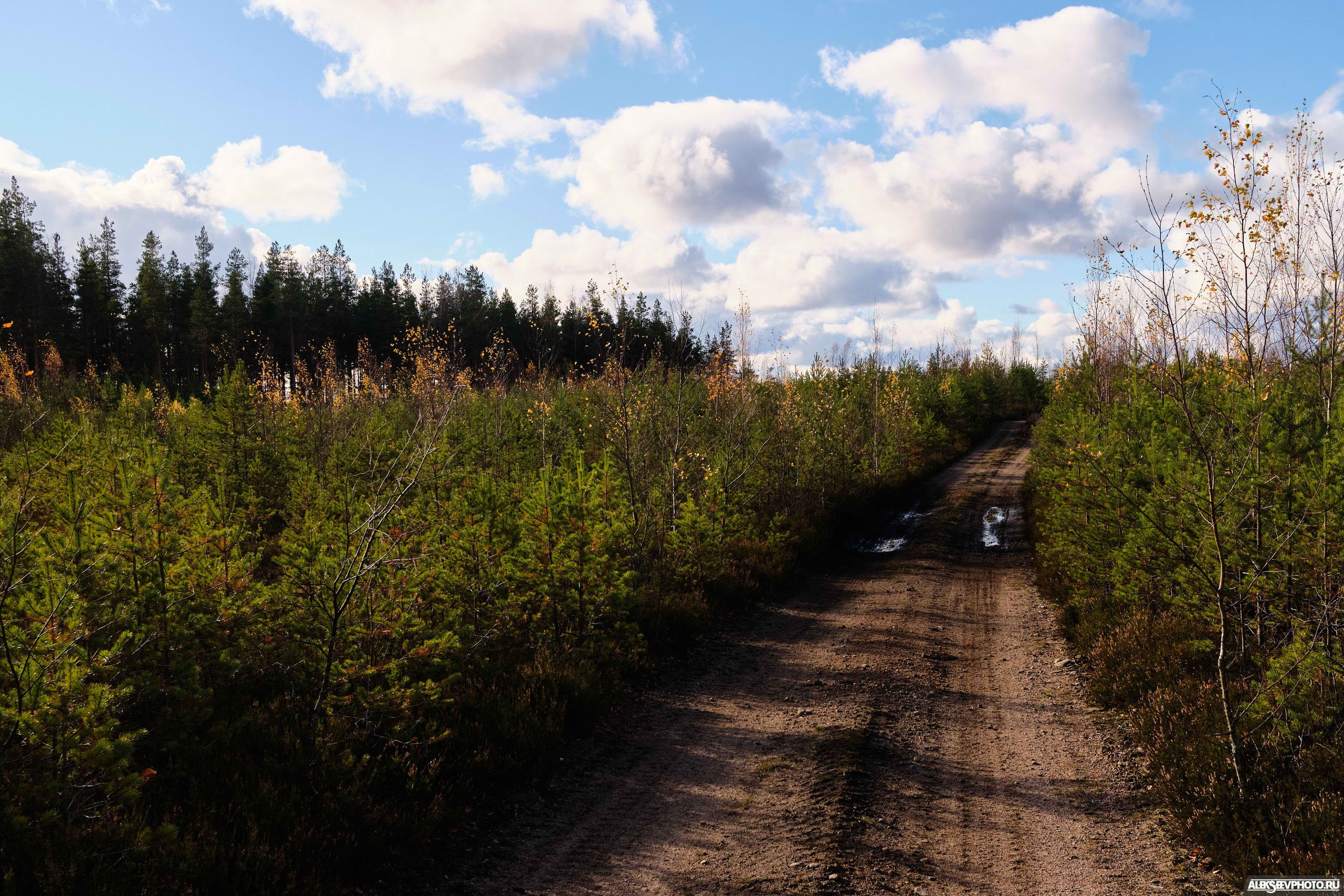 2021.10.17 — Финал чемпионата СЗФО по трофи-рейдам — 1 день. Фотограф Алексей Алексеев