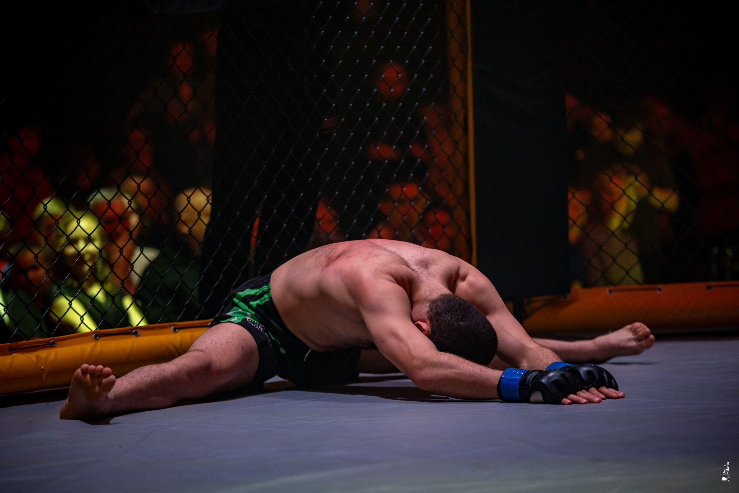 Бои в клетке «Северный Воин». Портретный фотограф Денис Милютин