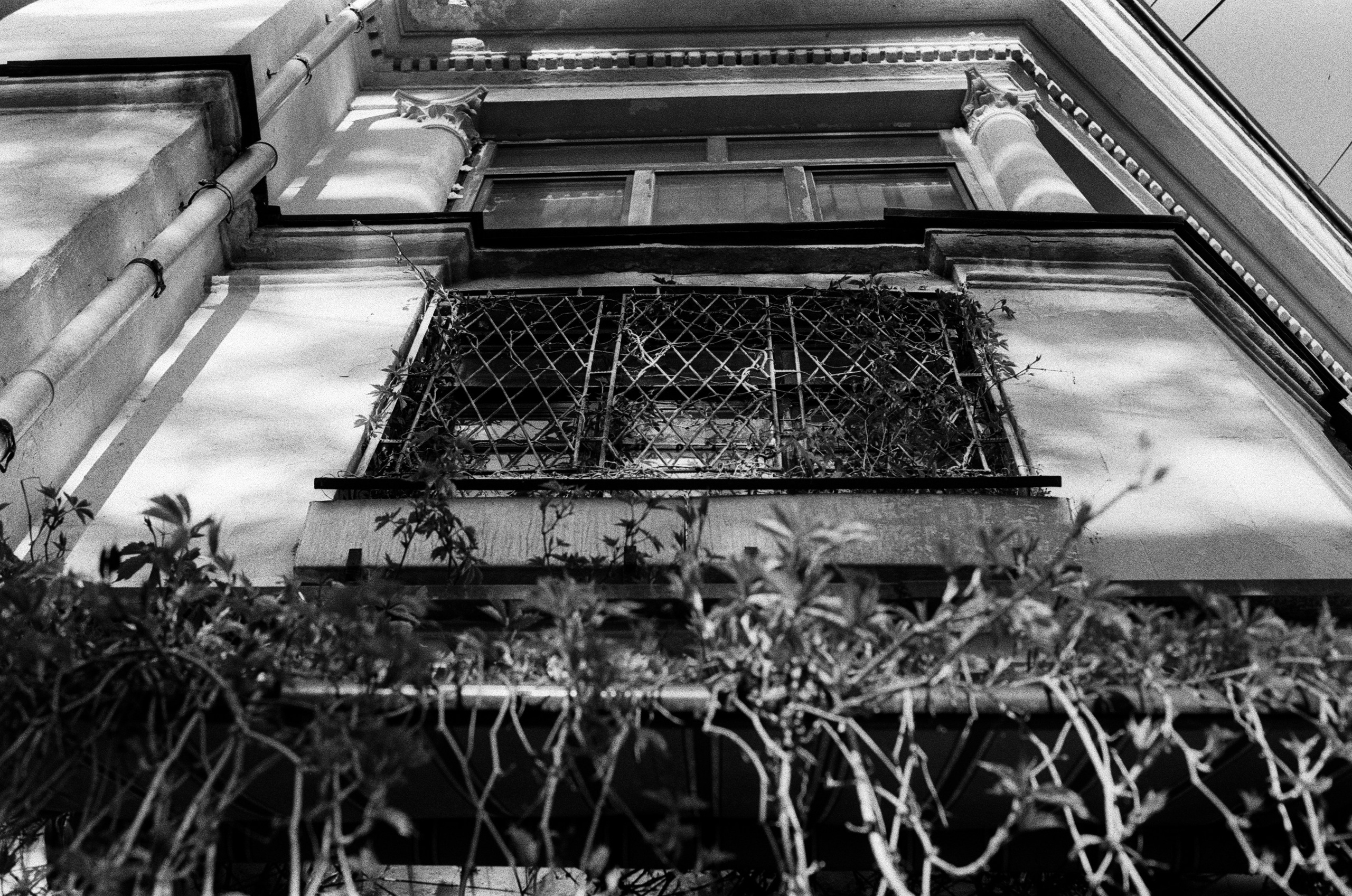 Oblomki chuvstv // ukraine, crimea V. EVER EXPOSED