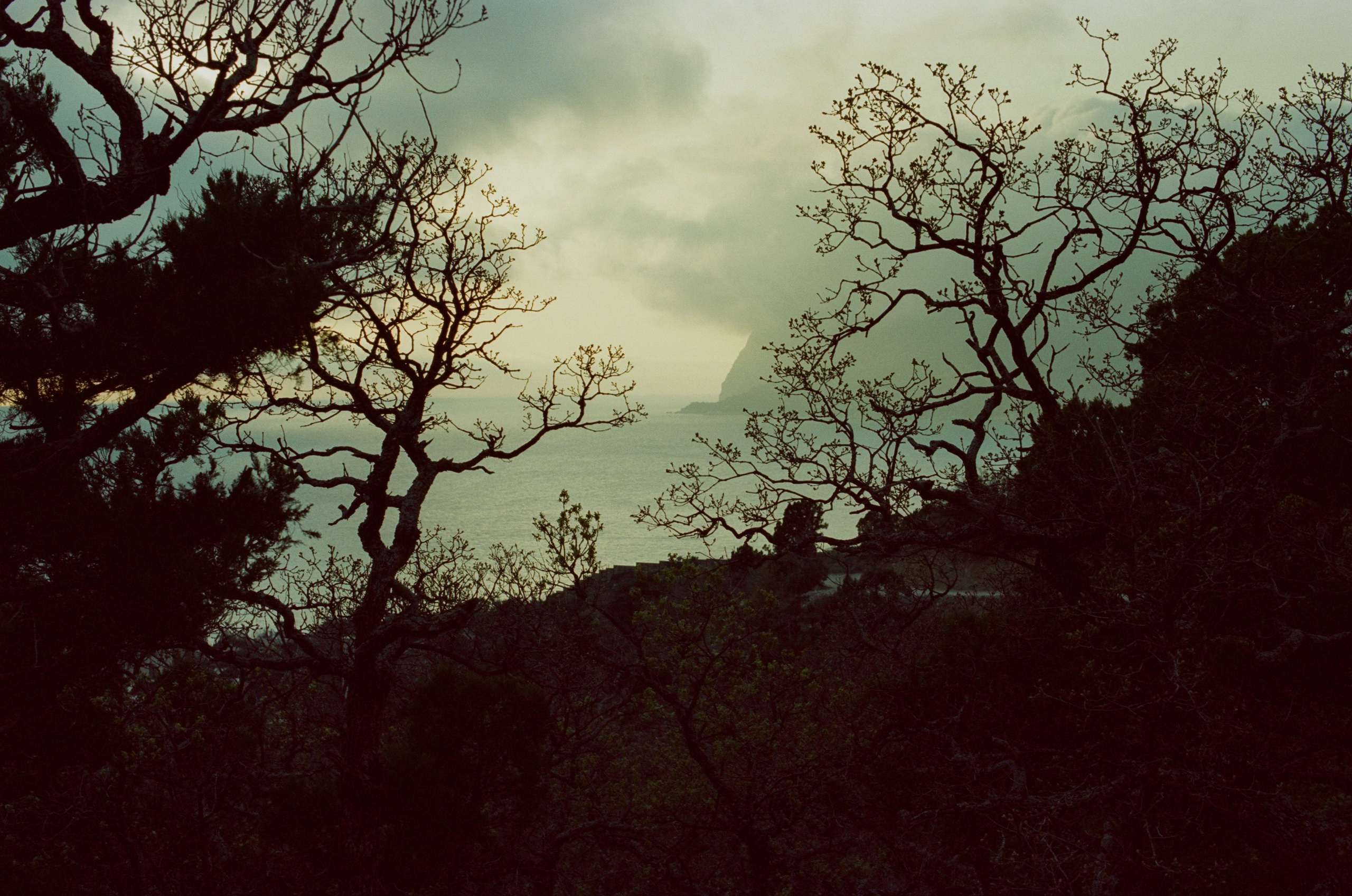 Follow you // ukraine, crimea. EVER EXPOSED