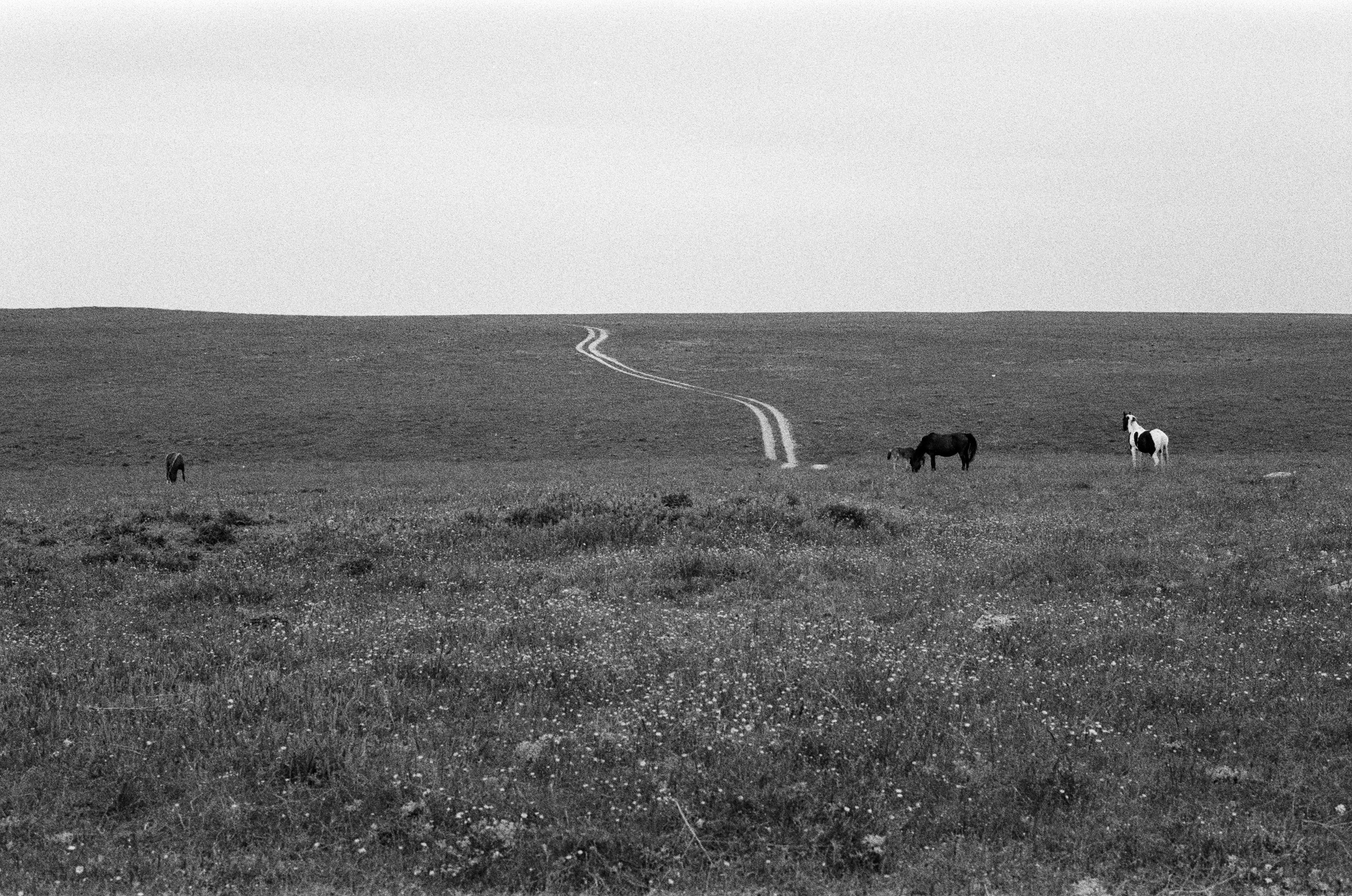 Move me // ukraine, crimea. EVER EXPOSED
