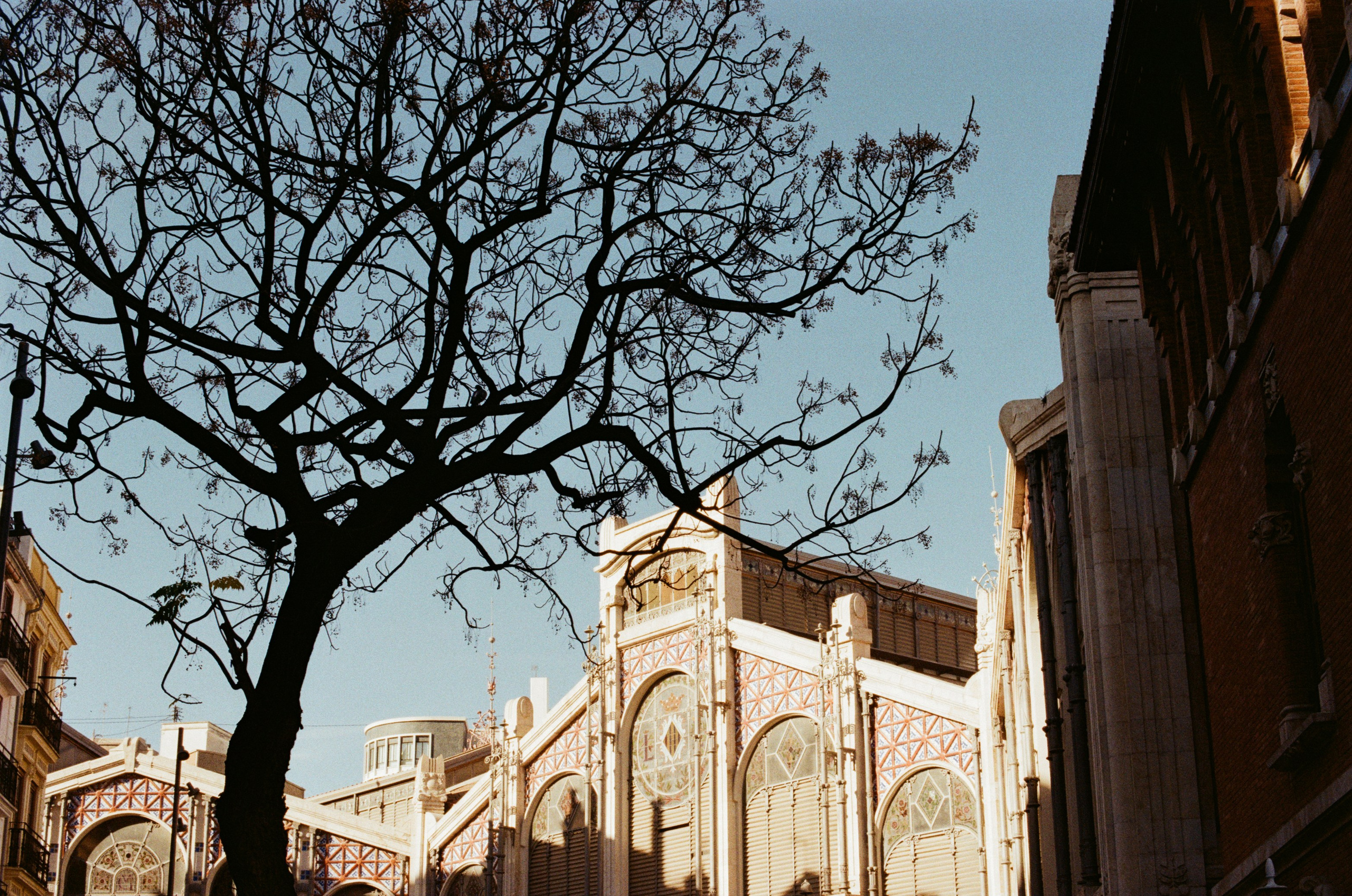 Spanish sahara // spain, valencia. EVER EXPOSED