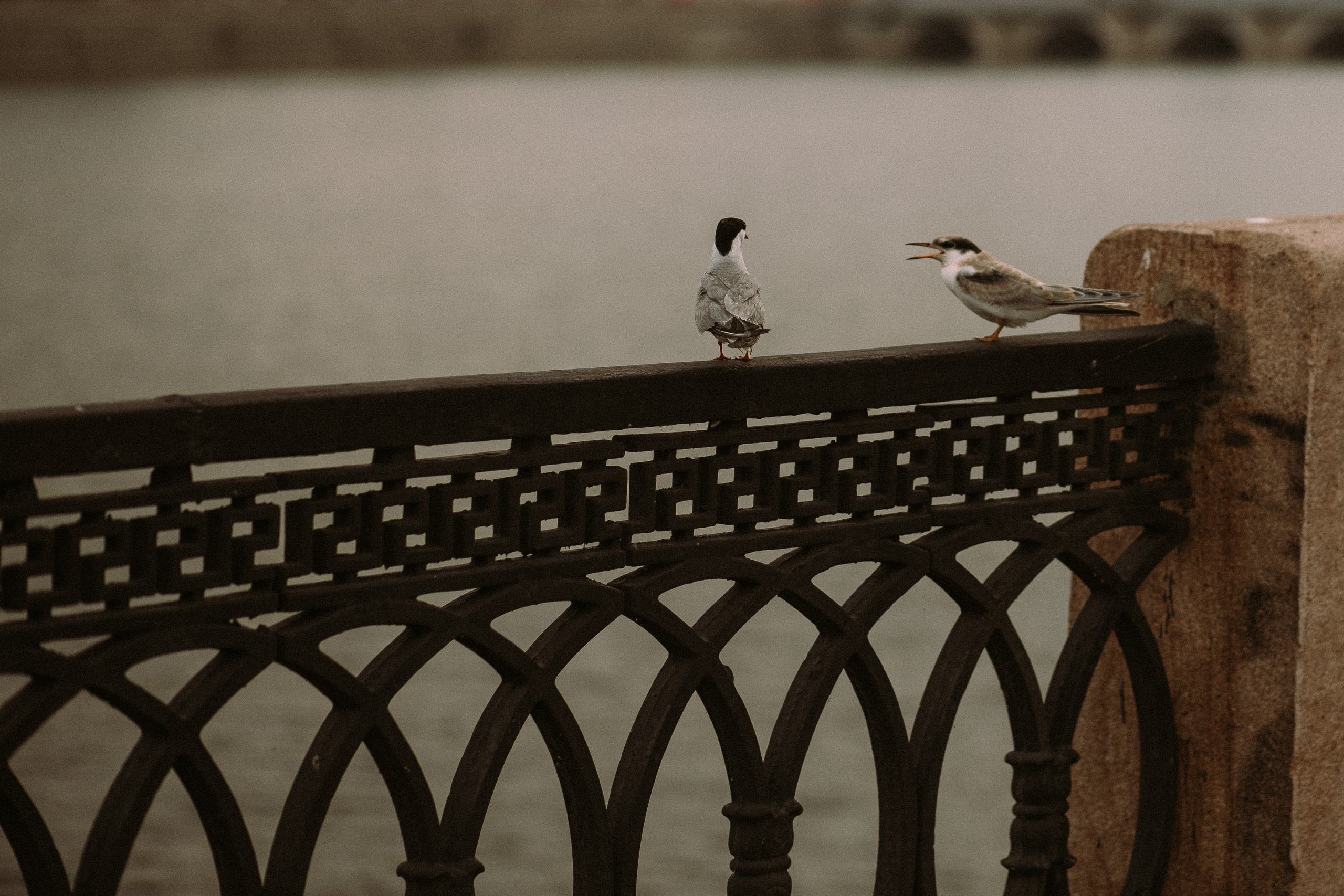 Одним прекрасным днём. Свадебный фотограф в Челябинске Оксана Мишакова