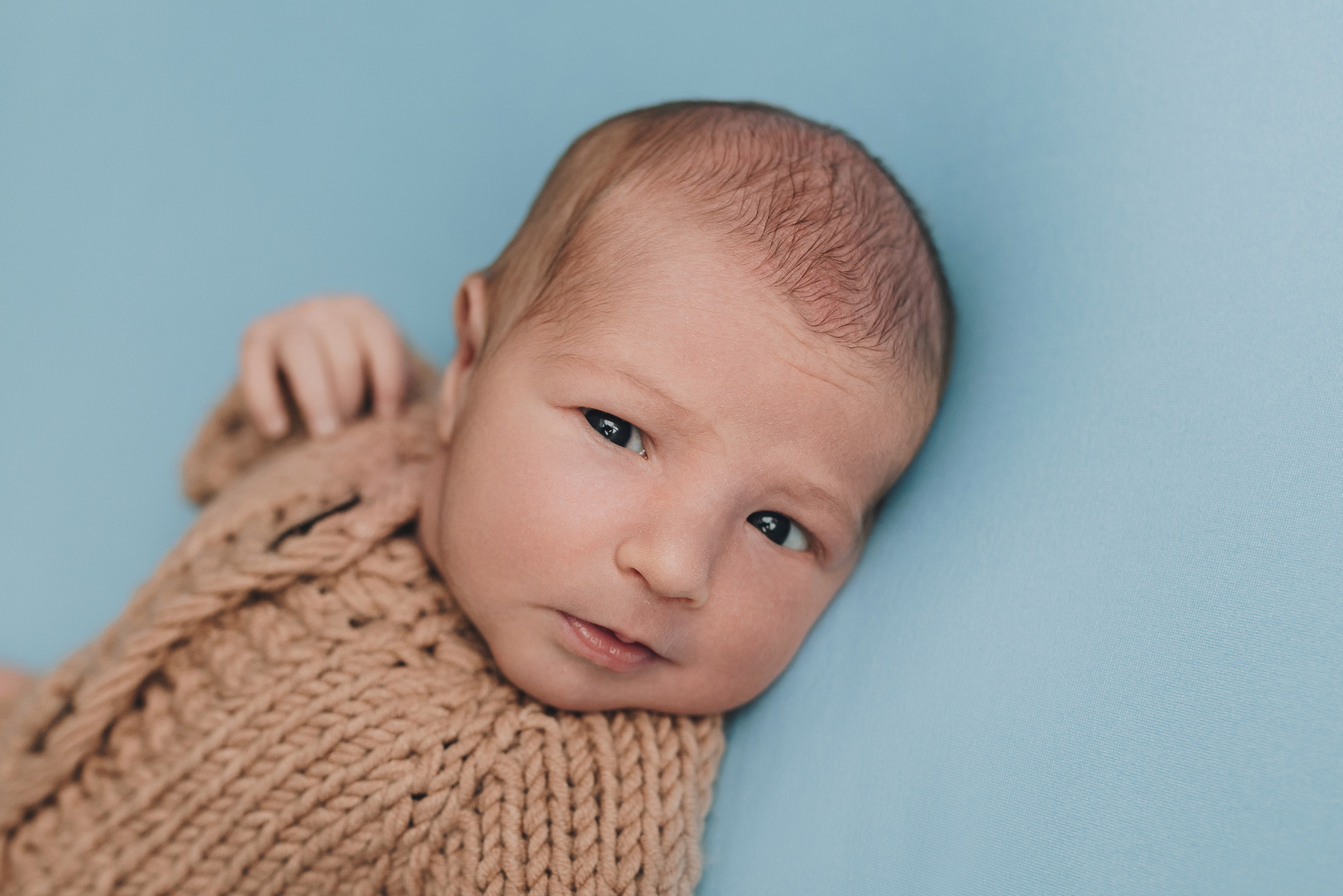 Alex. Natalia Finch Photography — Family, Kids & Pet Photographer in Chicago, IL