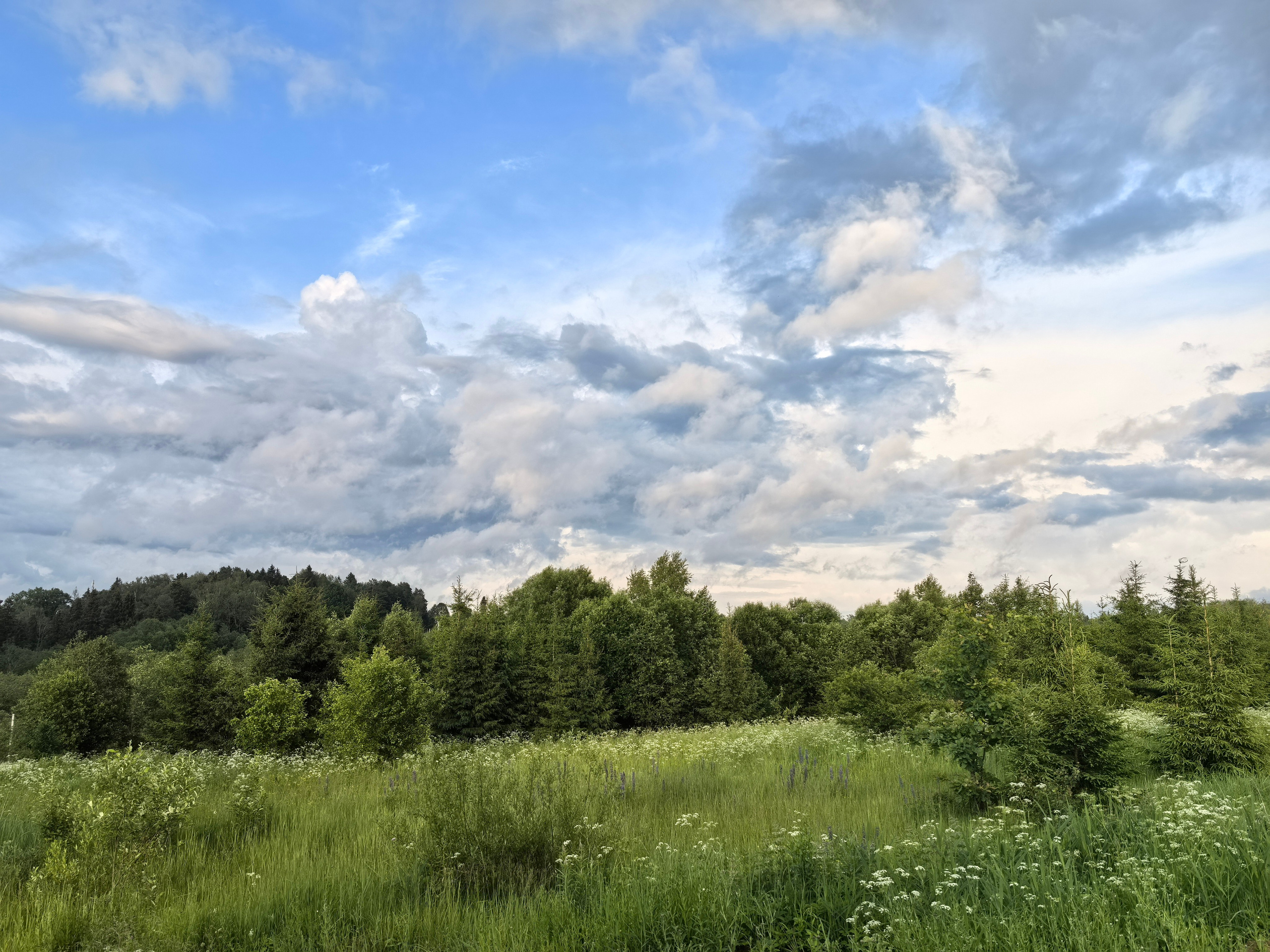 Чудесная природа. Школьные выпускные альбомы в Москве Марина Николаева