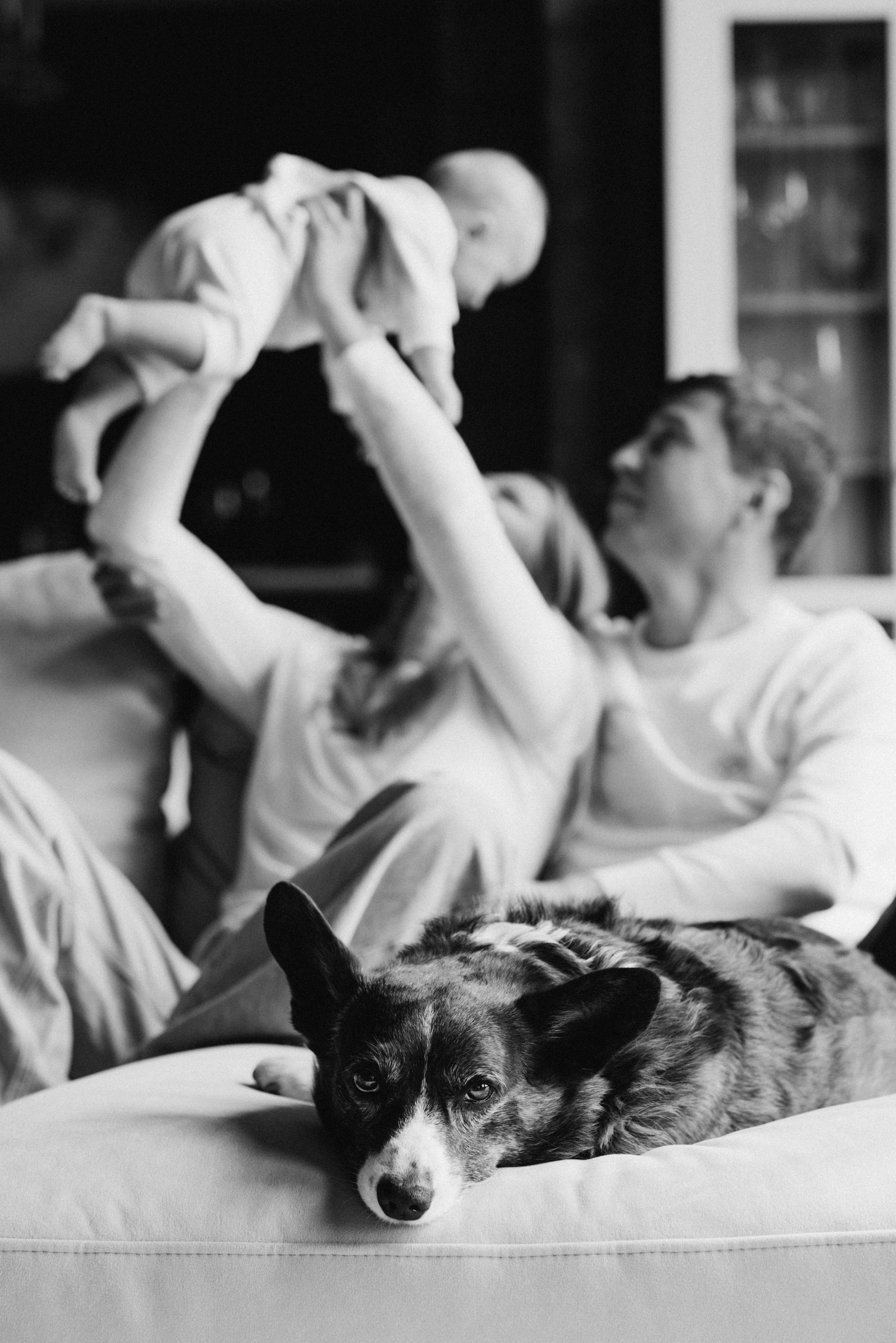 семейная фотосессия дома москва — малыш после роддома