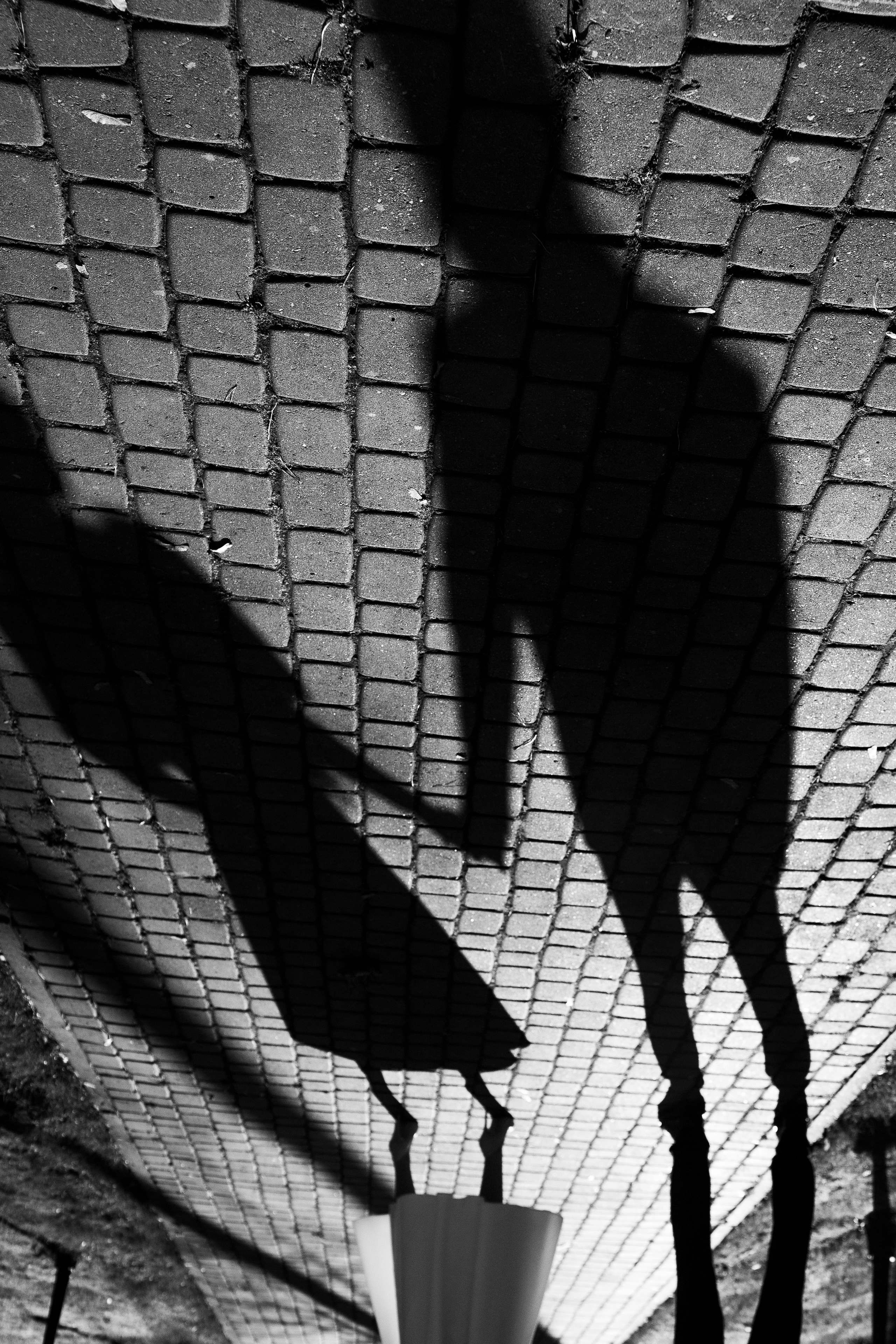 Евгений и Виолетта. Портретный и свадебный фотограф в Белгороде Глухова Кристина