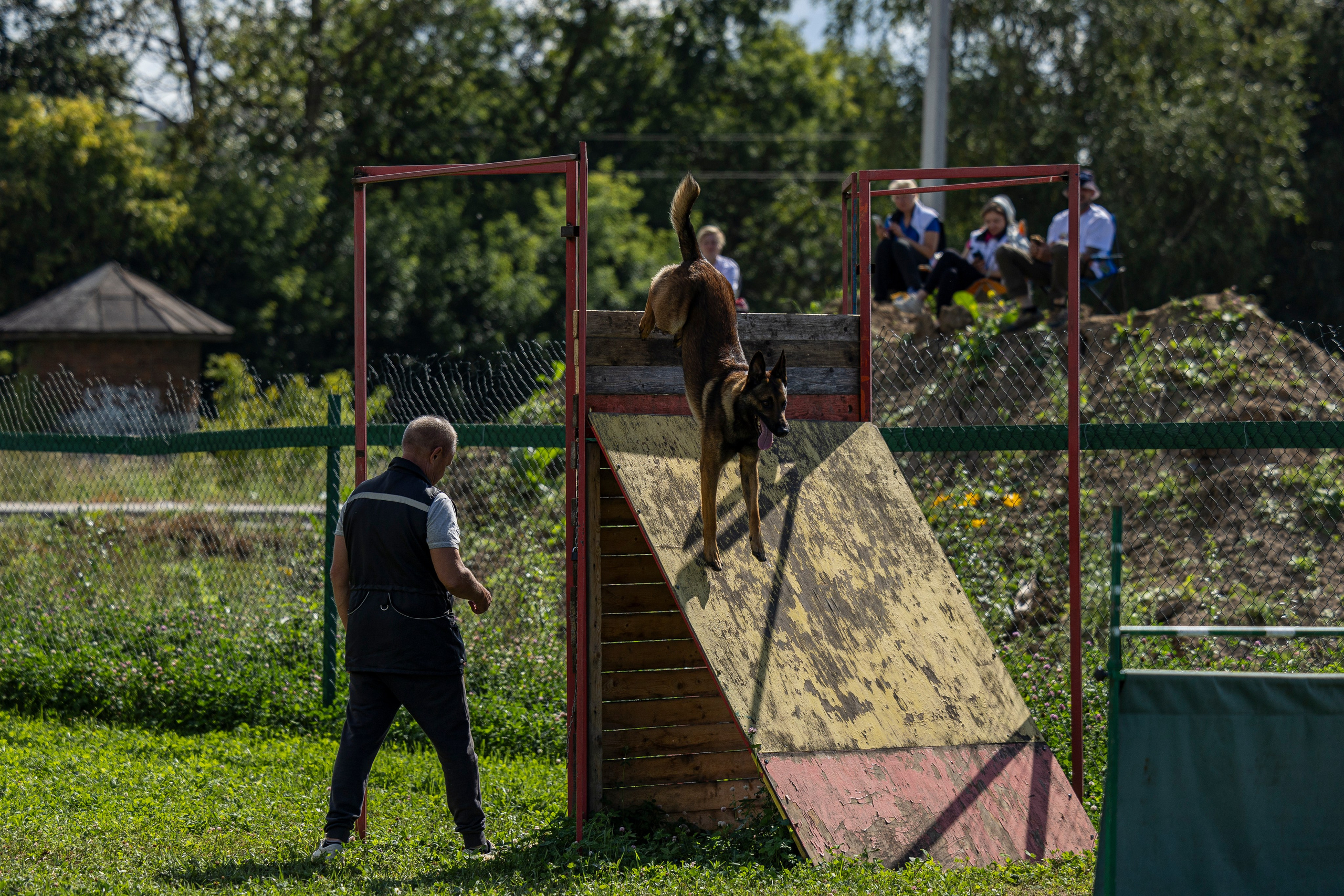 Соревнования по Мондьорингу г. Вологда 10-11.08.2024. Фотограф-анималист Анна Маринич