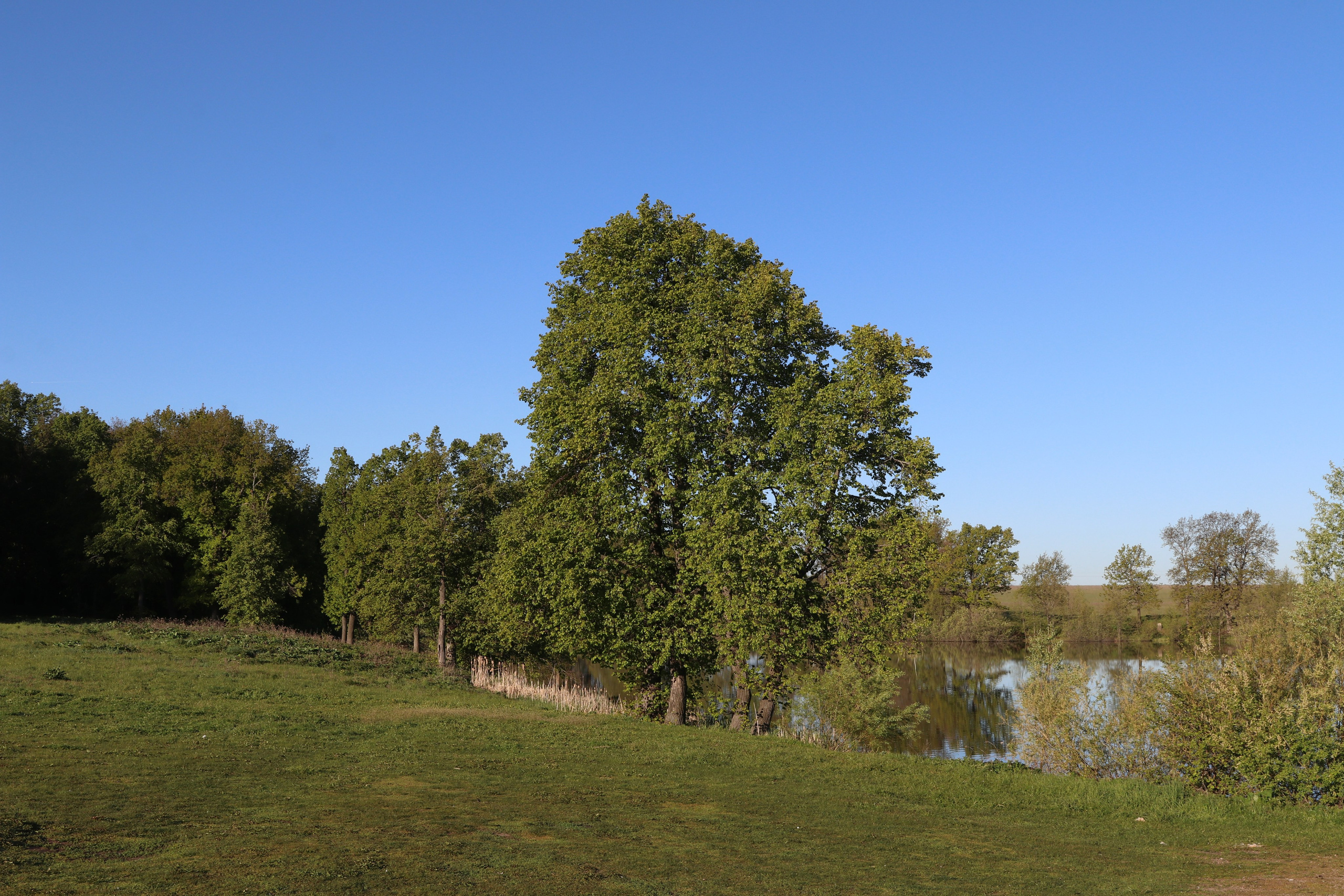 Велопоход Уфа — Мелеуз. Май 2024. Путешественник-фотограф из Санкт-Петербурга Татьяна Свистулина