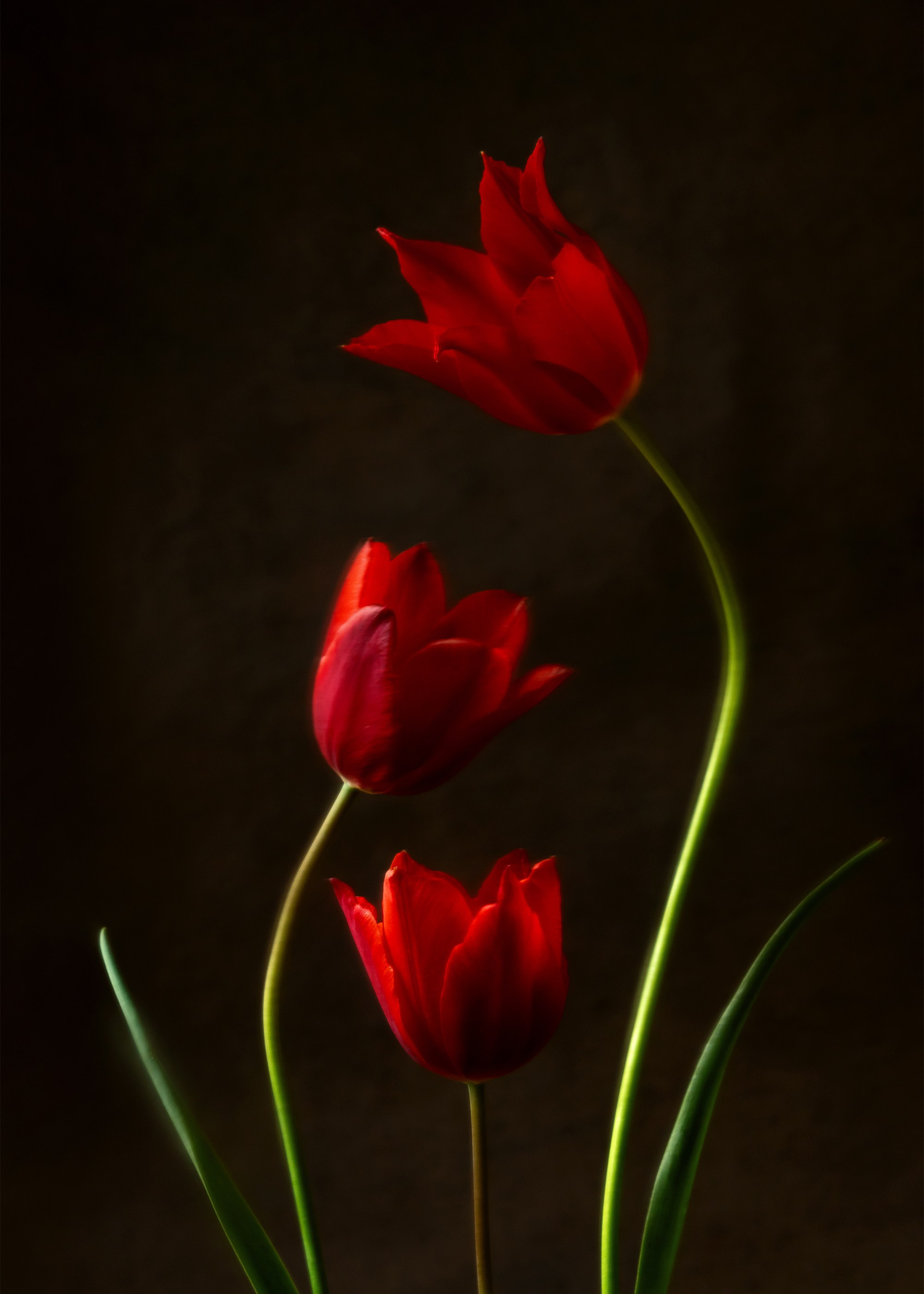 Pas de Trois. Author’s fine art prints with international delivery