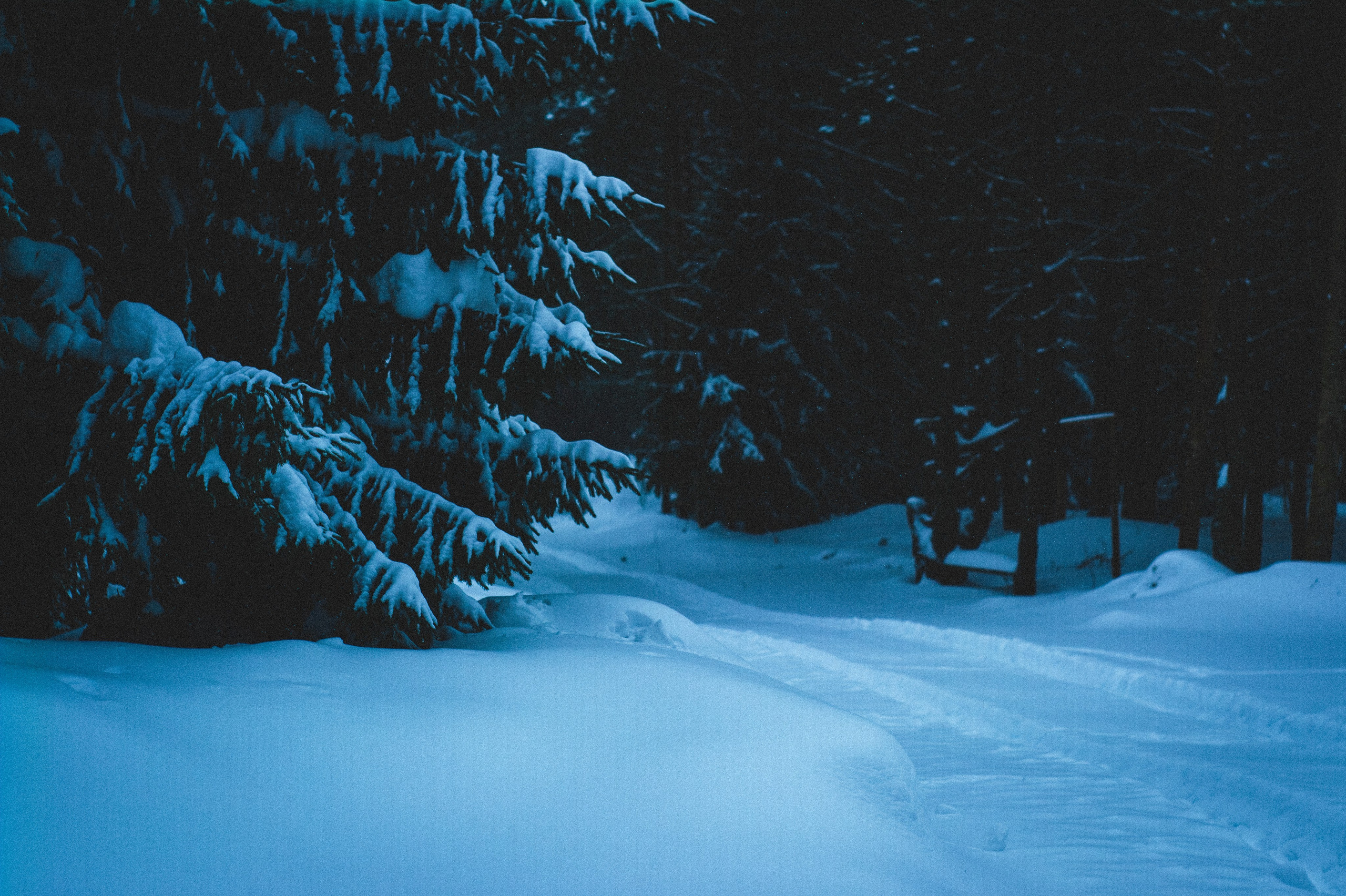 Mindfulness. Den Mirov — Photographer, Musician