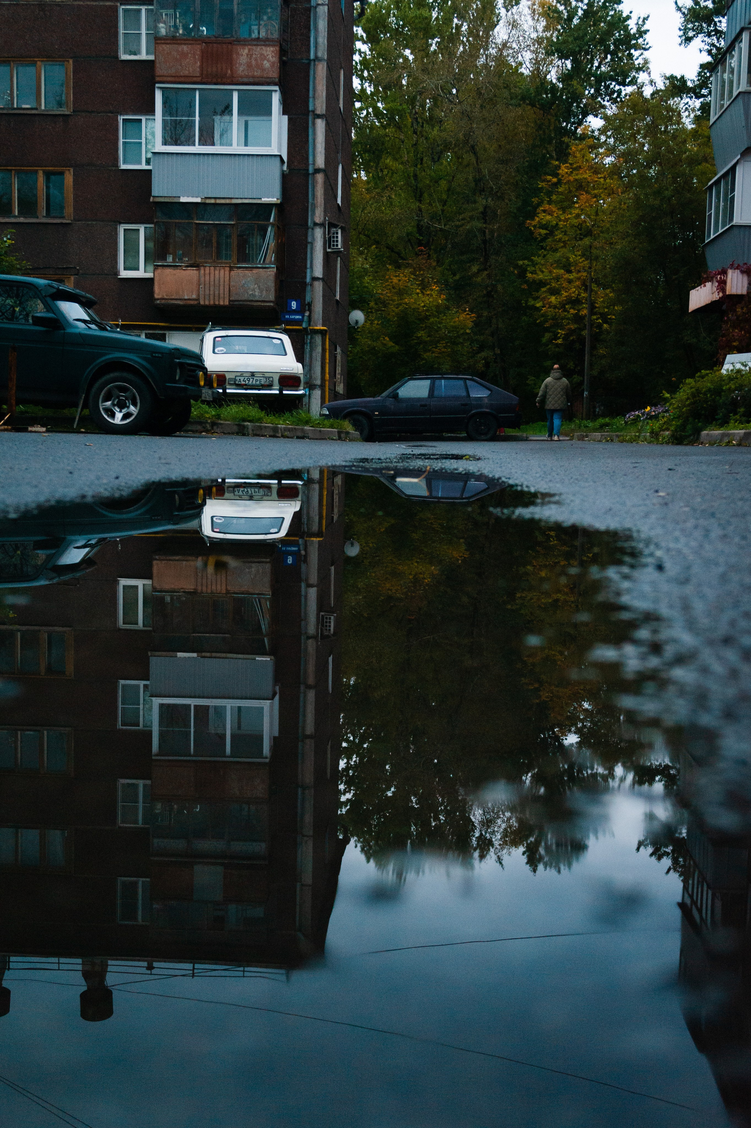 Октябрь 2025. Den Mirov — Фотограф, Музыкант