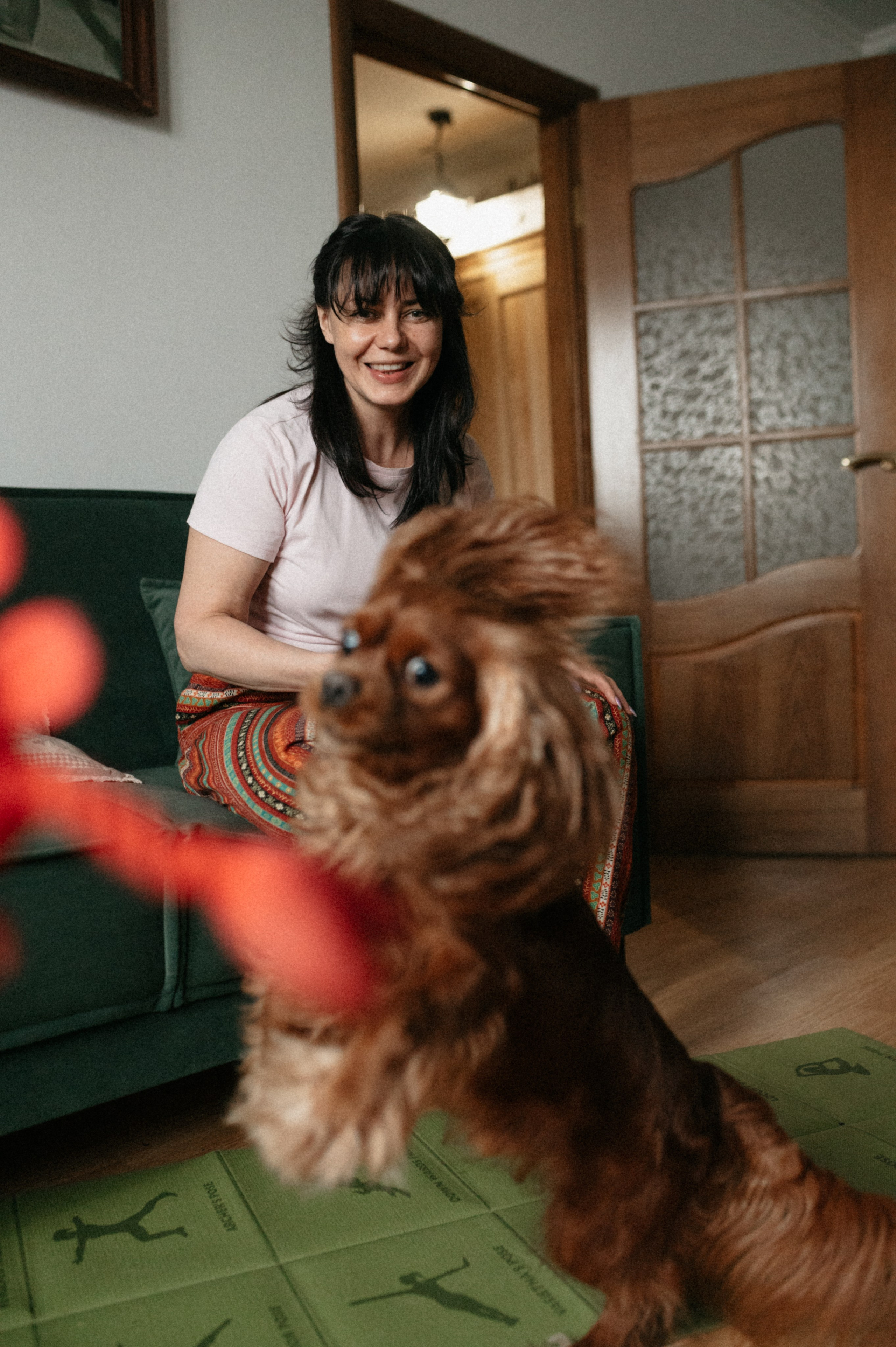 Оля и её меховая банда. Фотограф анималист в Москве Ольга Агушева