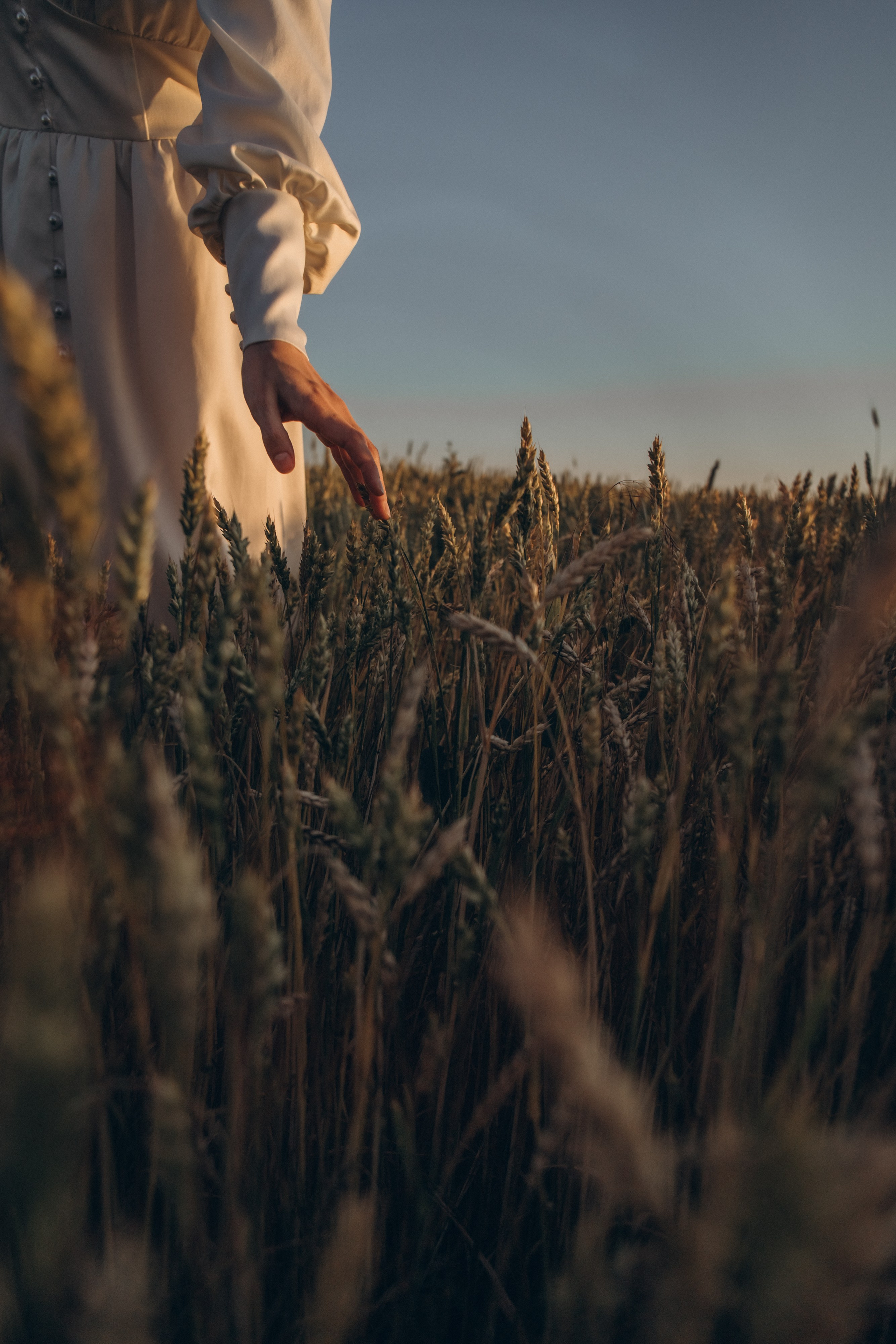 По полюшку. Свадебный и семейный фотограф Злата Вдовина