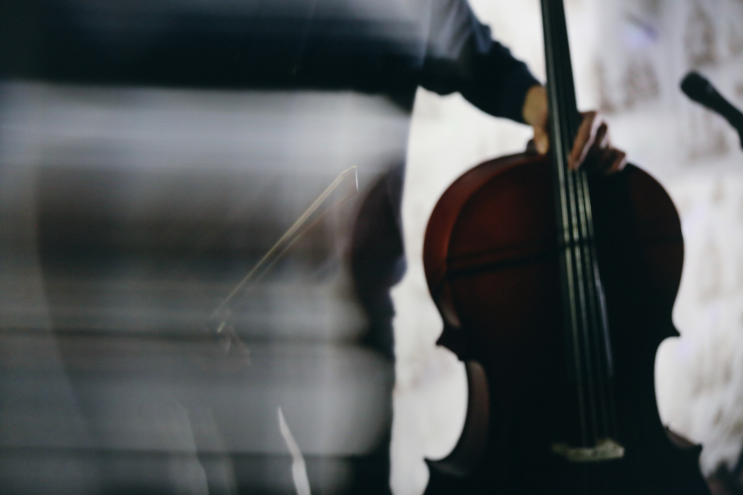 Сотворчество Даждь. Фотограф Антонина Гудкова