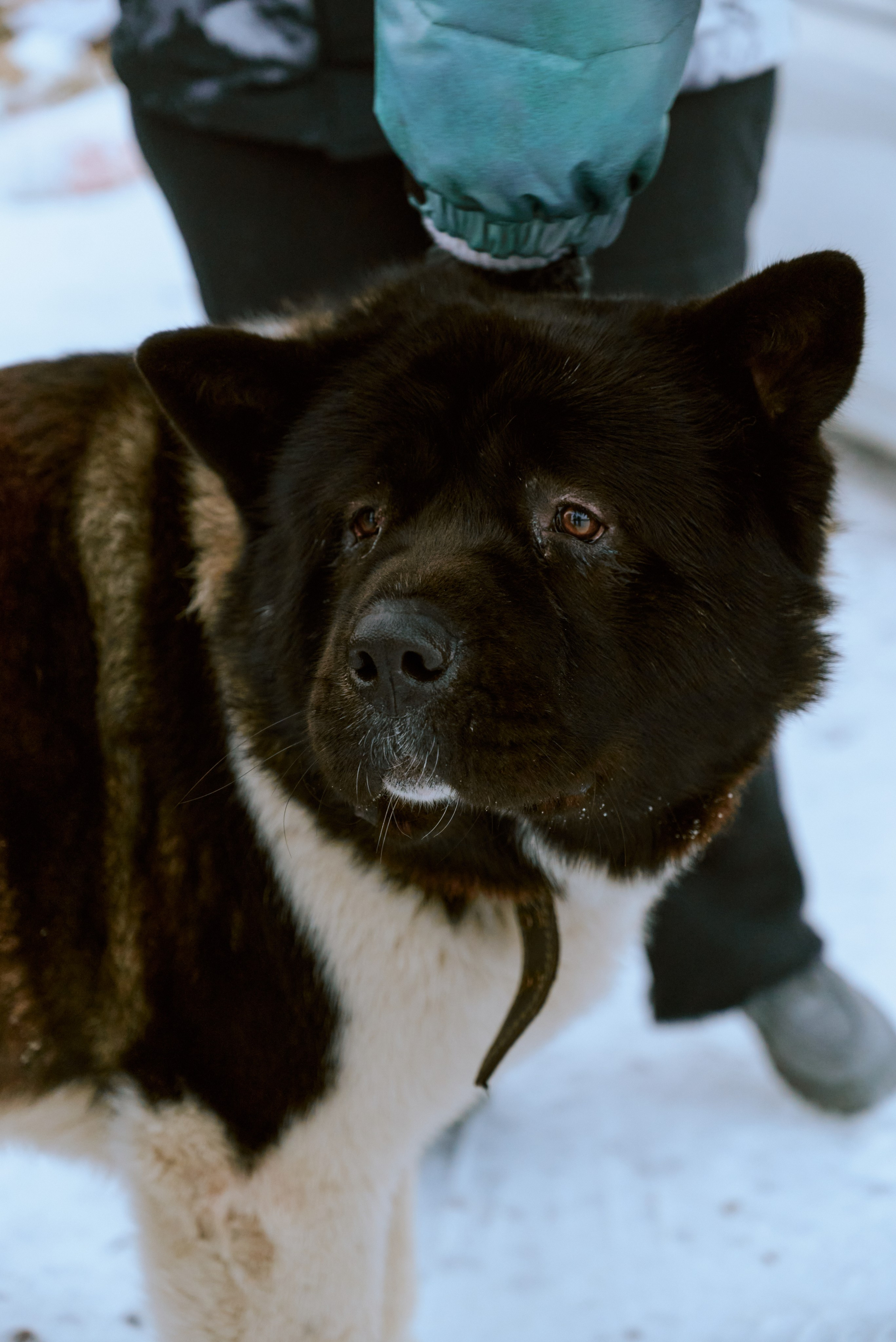 BAON x TERIBERKA. Фотограф Сурков Никита