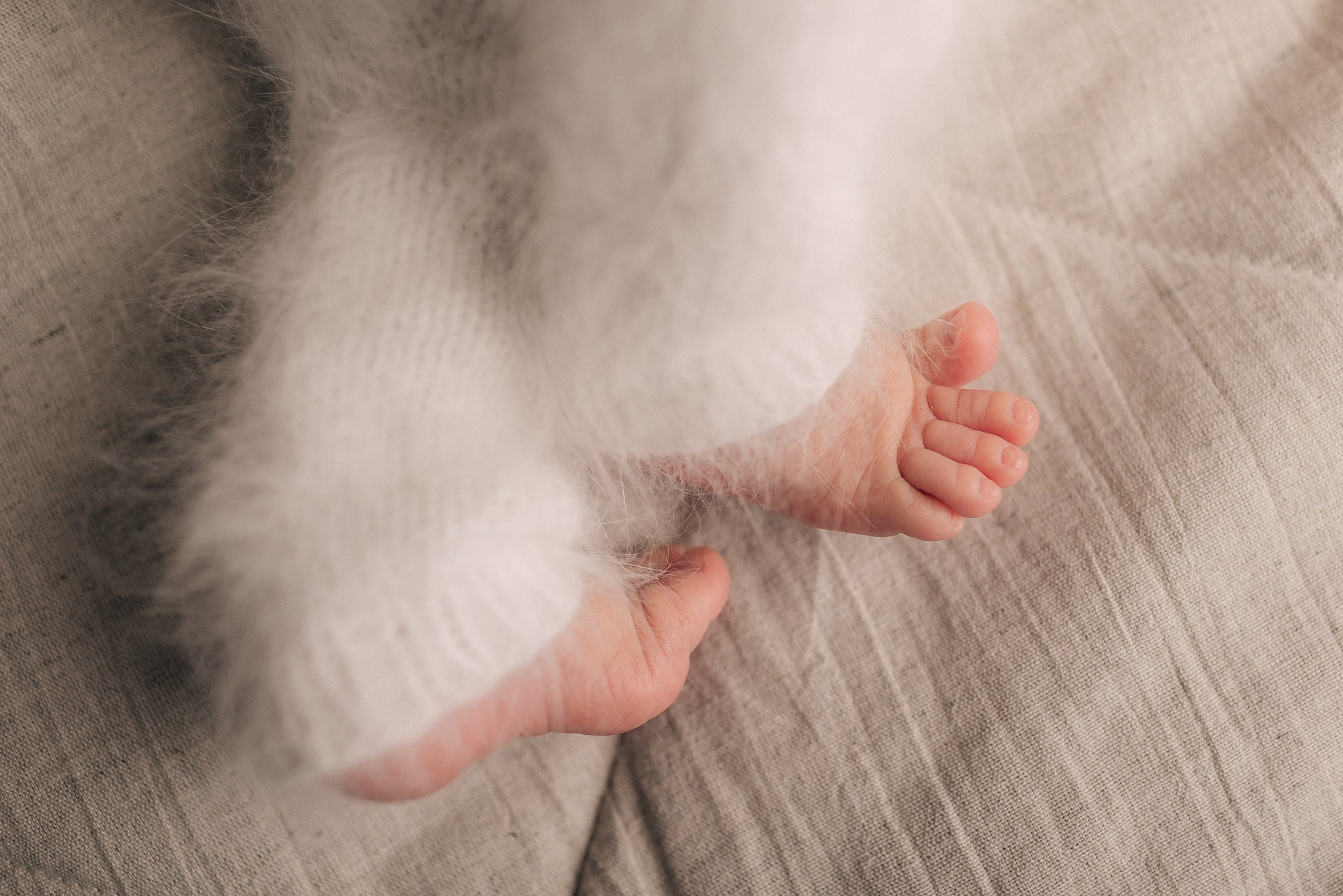 Саша 11 дней. Семейный фотограф новорождённых в Серпухове Юлия Новикова +79637785957