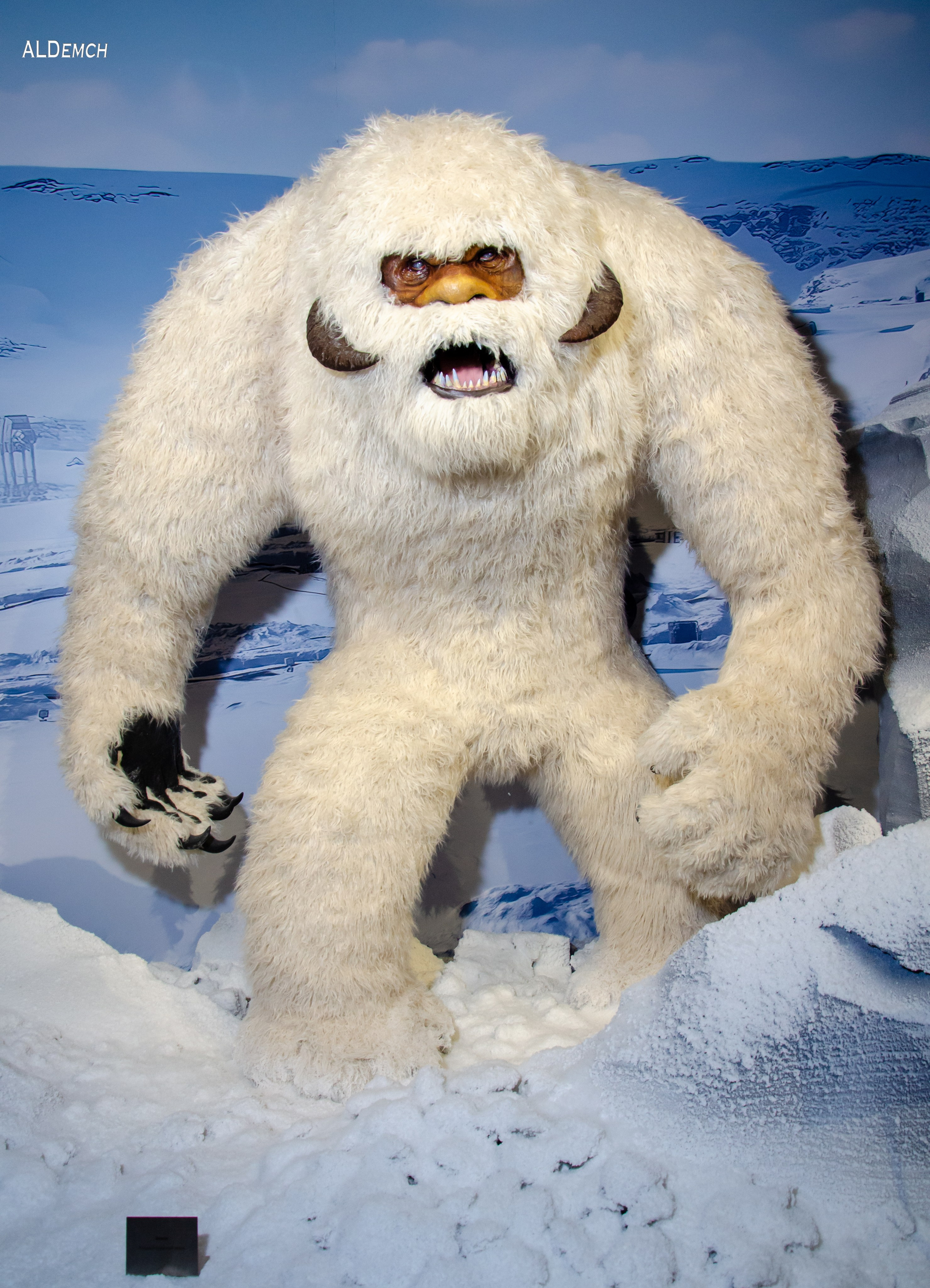 Фотосессия на ВДНХ косплей выставки по звёздным войнам