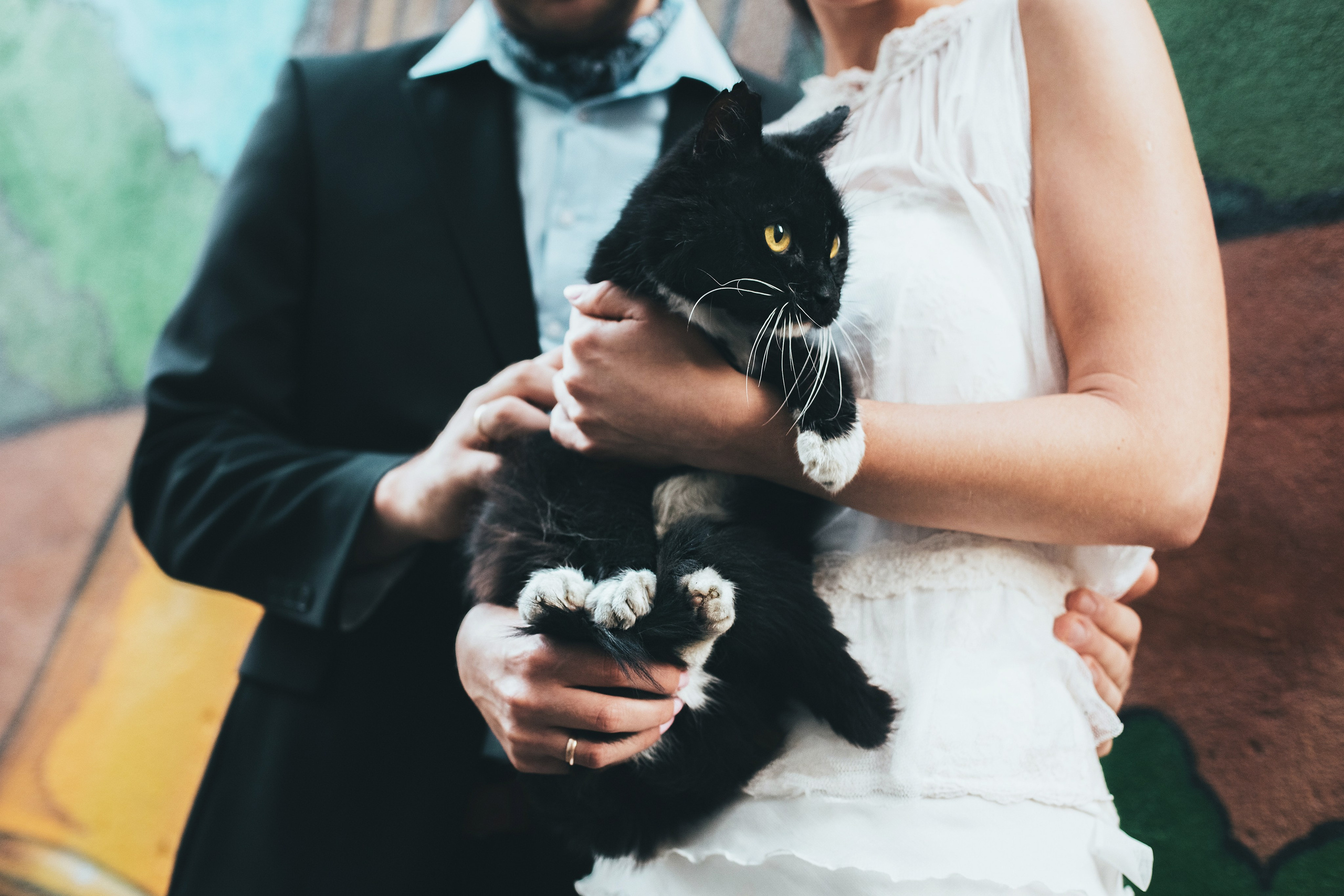 Любить в Нидерландах. Свадебный фотограф в Смоленске Анна Казакова. Свадебные фотосессии, лавстори (Love Story) и выездные съемки по всей России