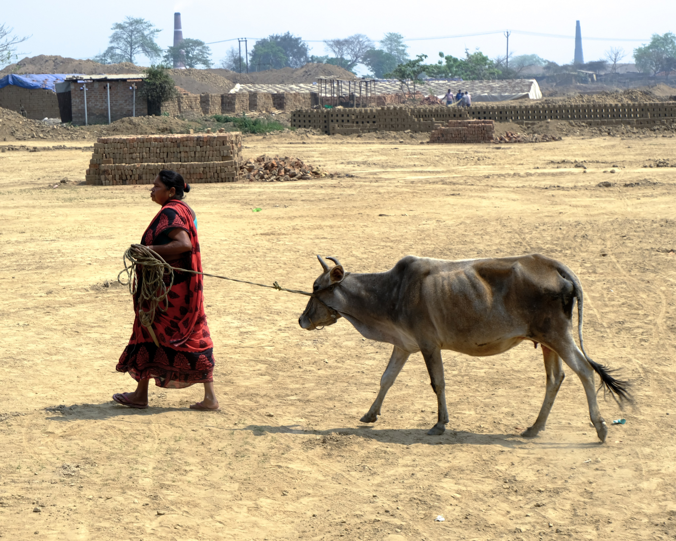 Индия штат Ассам день 2-й. Фотографии из путешествий
