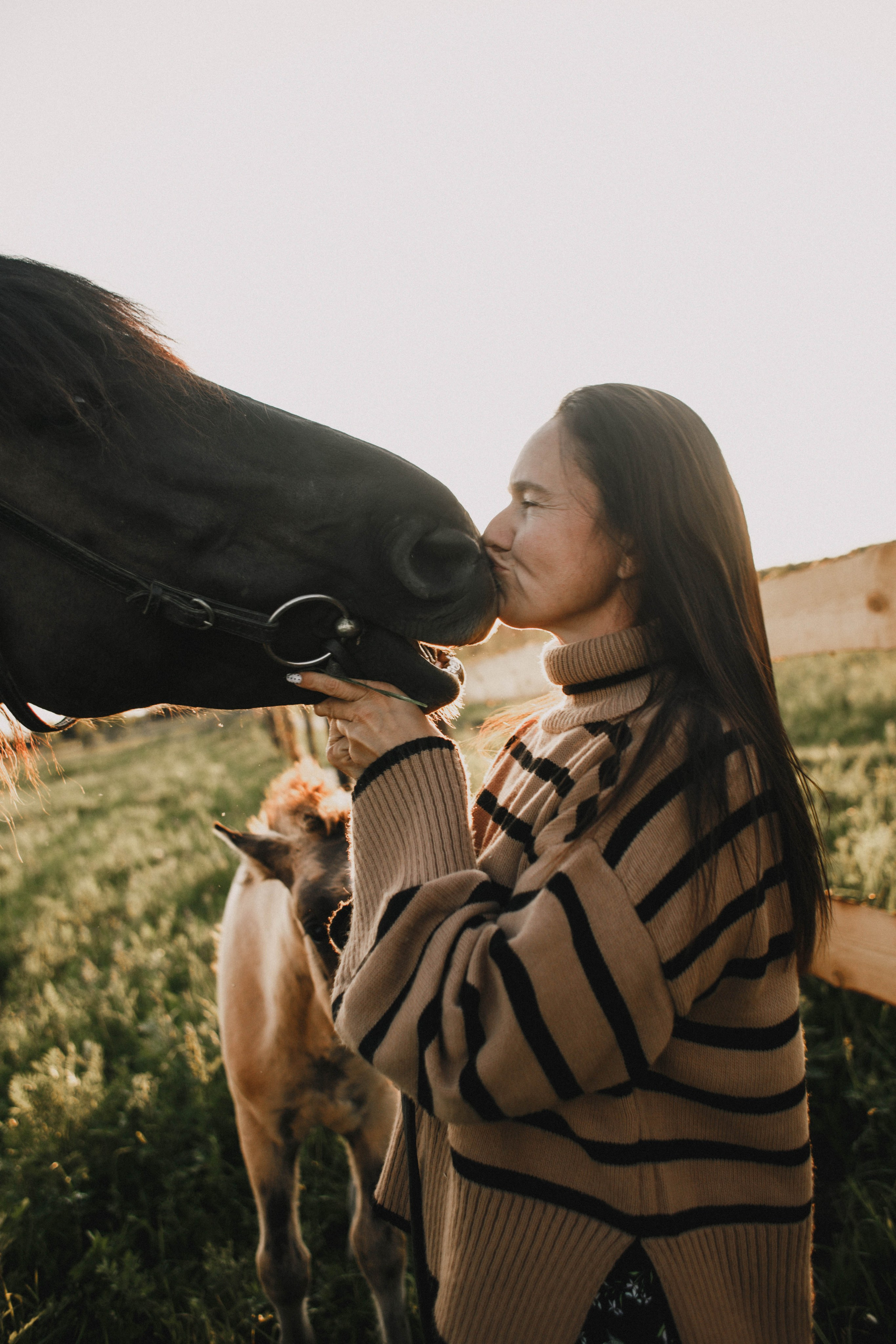 Варвара. Лошади. Закат. Фотограф в Нижнем Новгороде