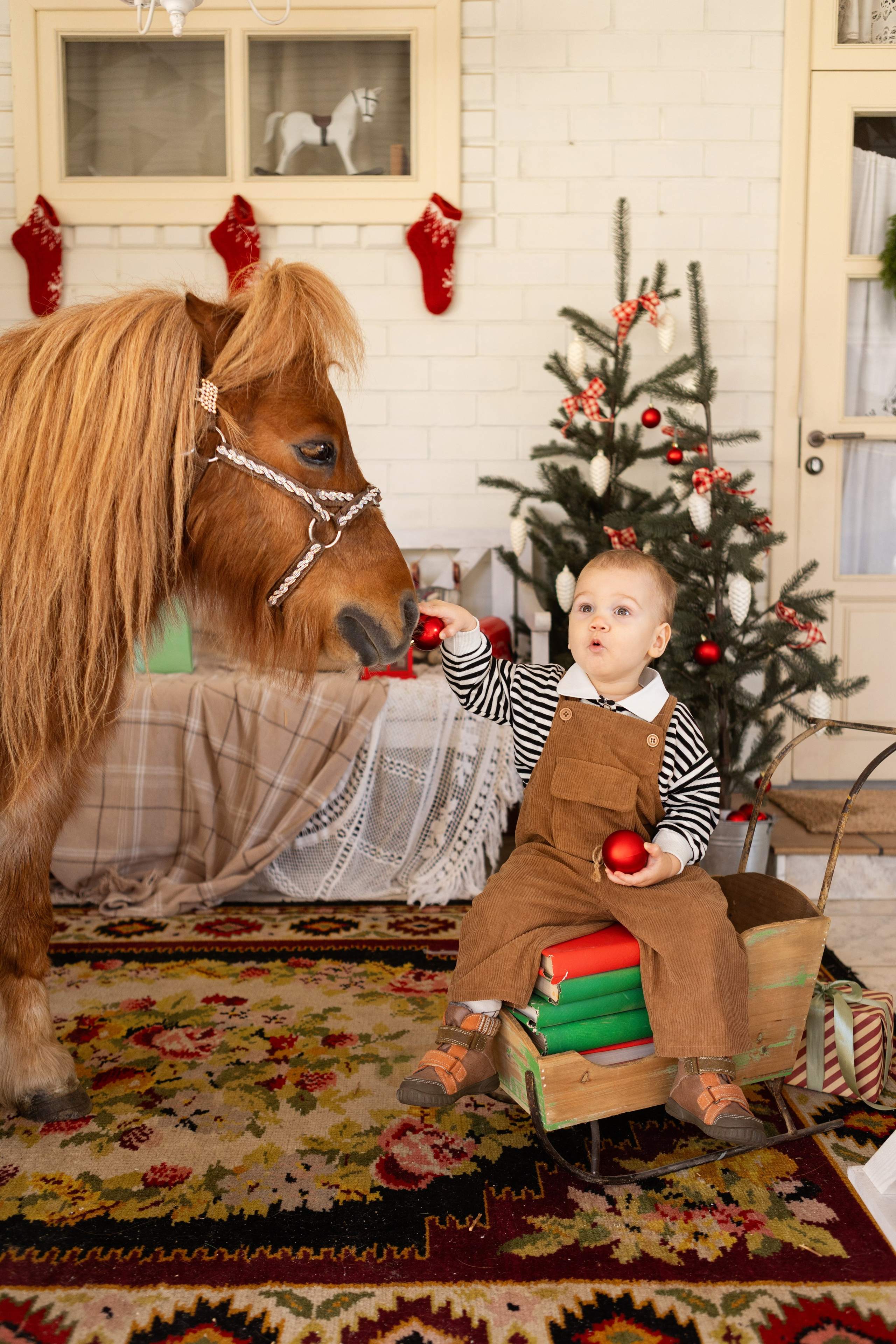 Символ 2026 года «Пони-Бонус». Фотостудия Ольги Сурухановой. Свадебный семейный и детский фотограф в Краснодаре Карина Федоровская