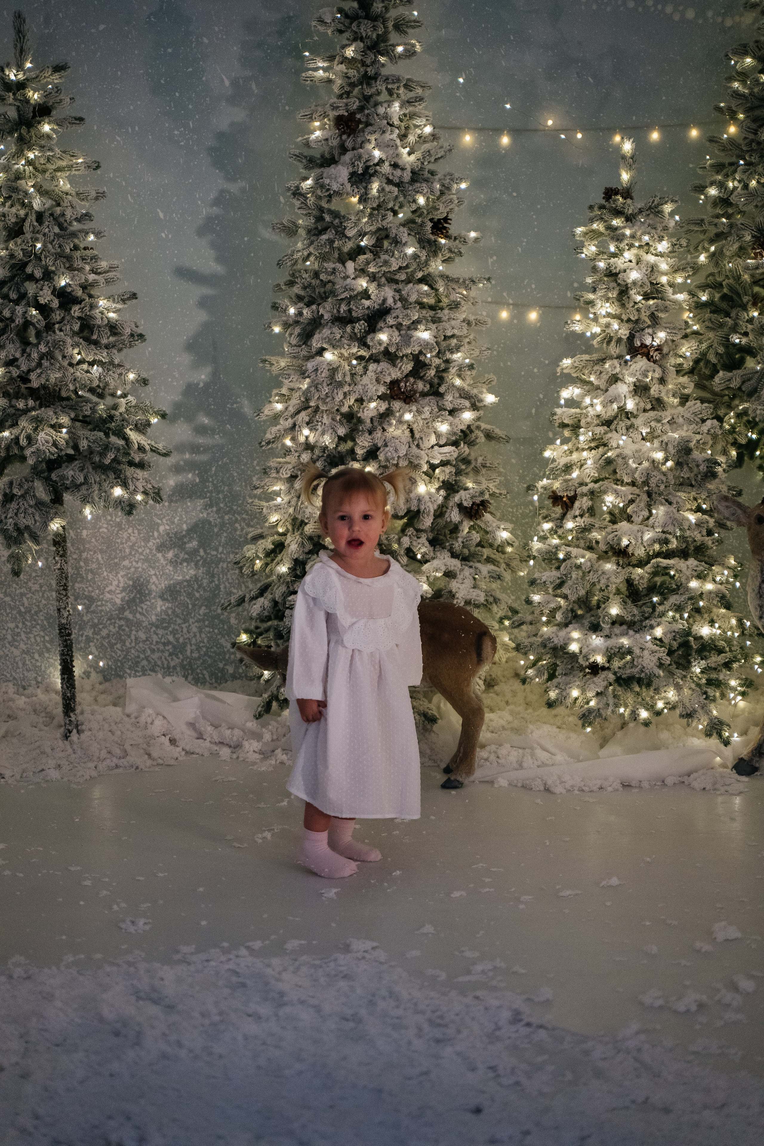 Новогодняя история двух принцесс. Свадебный и семейный фотограф в Новосибирске Синицына Наталья