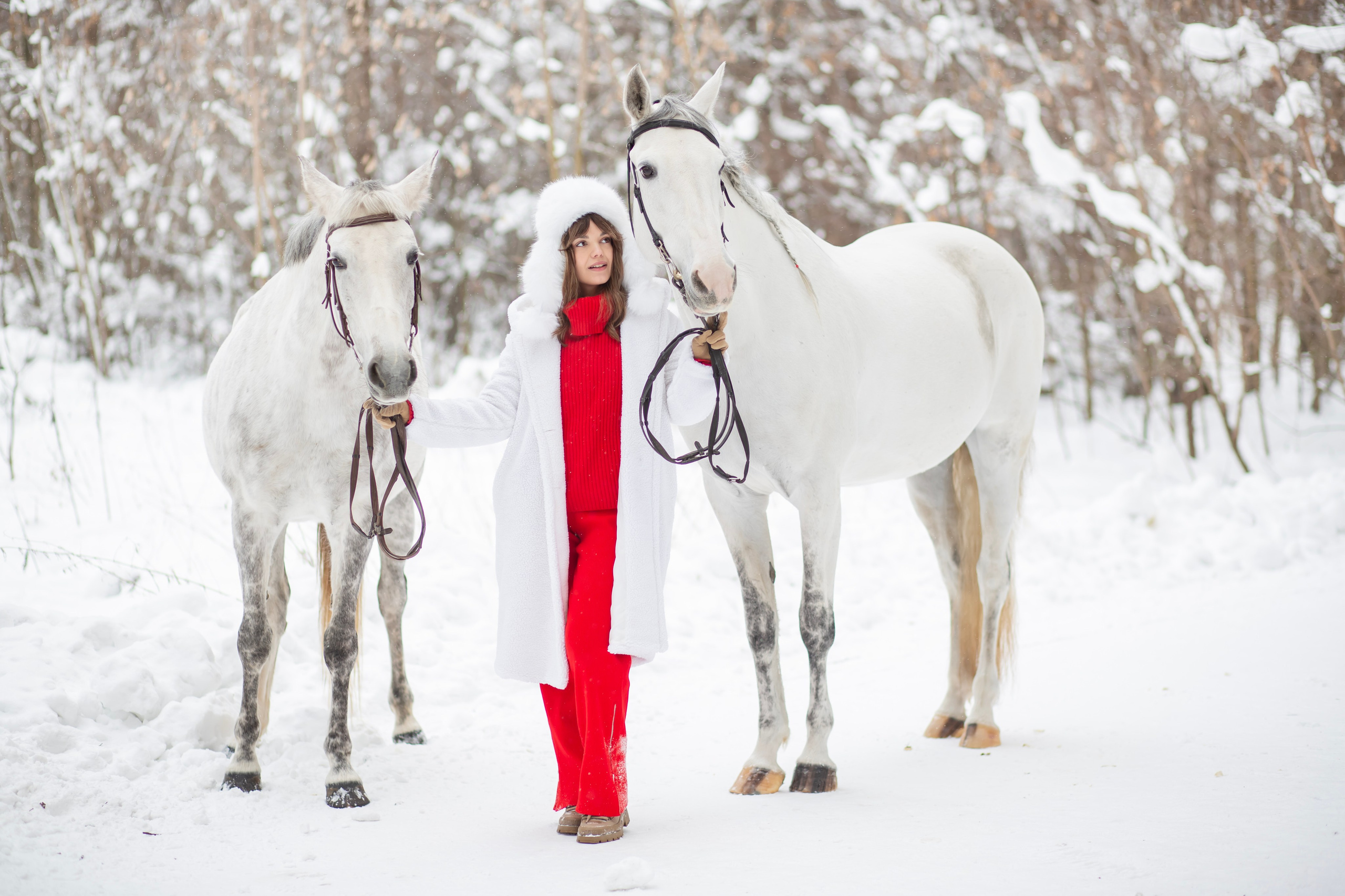 Год лошади. Семейный и детский фотограф в Москве и МО — Александра