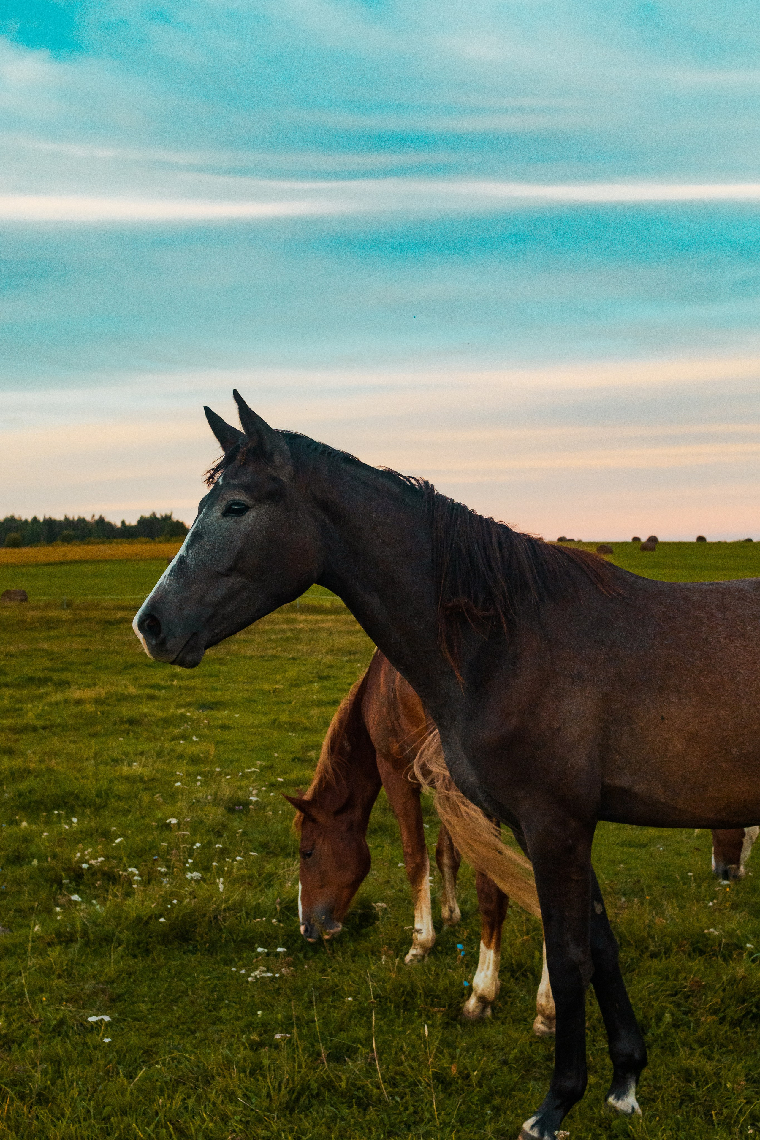 Деревня Мишнево | Калужская область. Папка кадров 📁