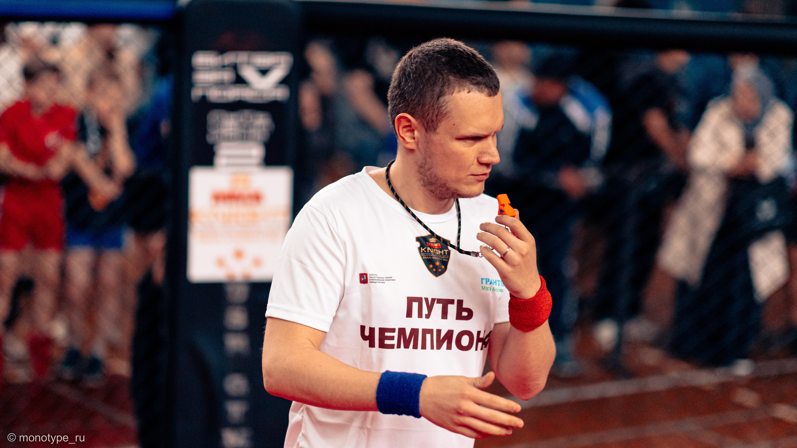 MMA. Бойцовский турнир