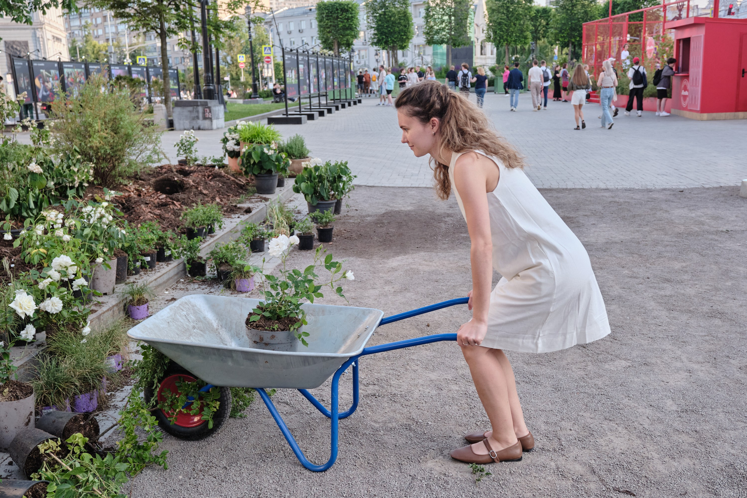 Бульвары для всех l Лето в Москве. Фотографъ Сергѣевъ. Поймать мгновеніе
