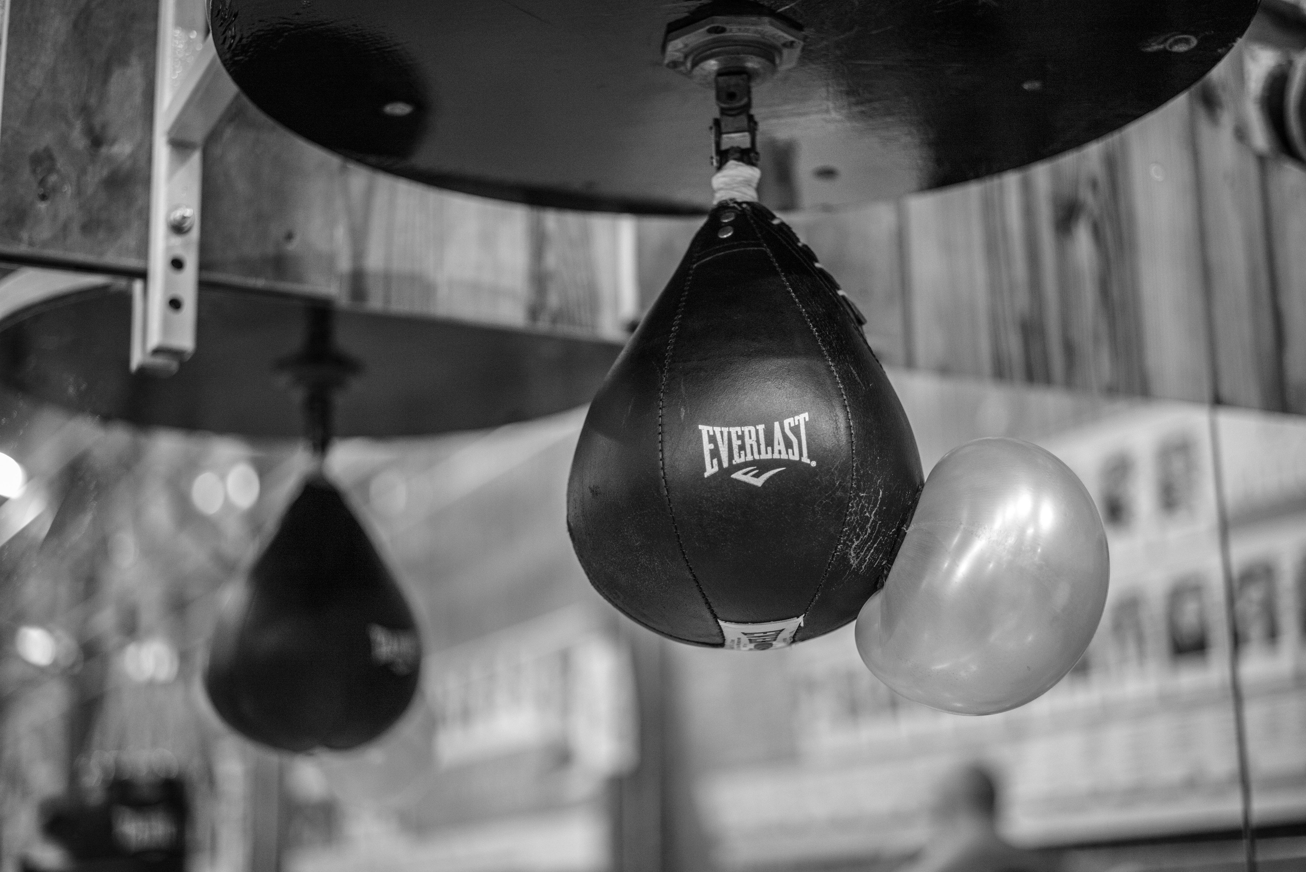 Boxing book. Главная