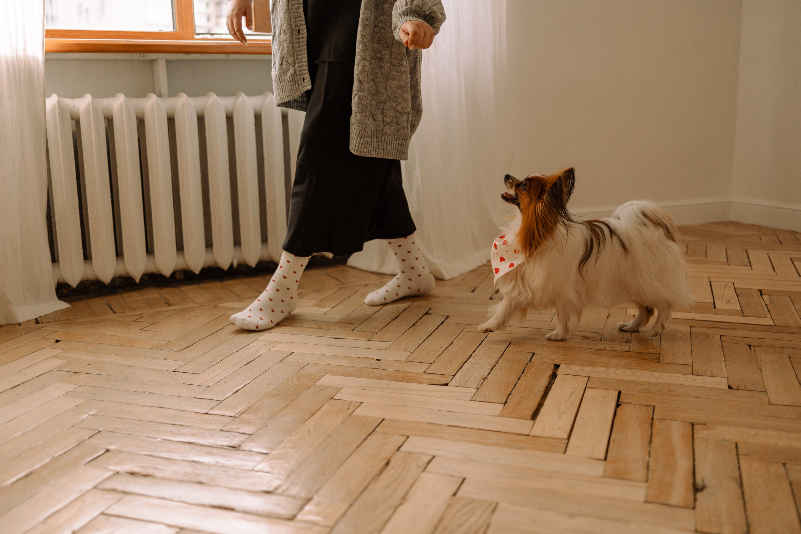 Женя и Брю. Фотограф — Анималист | Санкт-Петербург