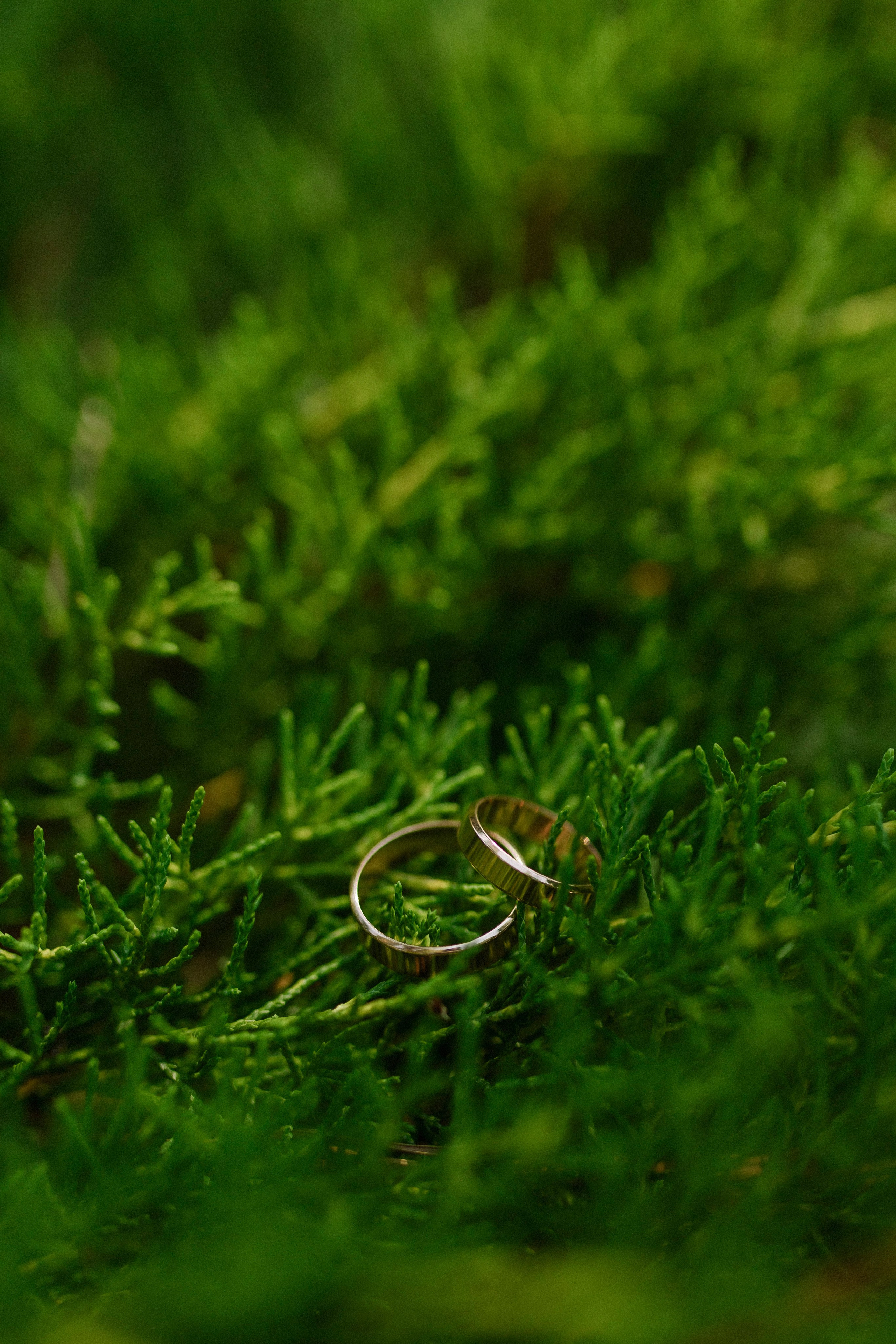 Денис и Елизавета 17.07.25. Индивидуальный, семейный и свадебный фотограф