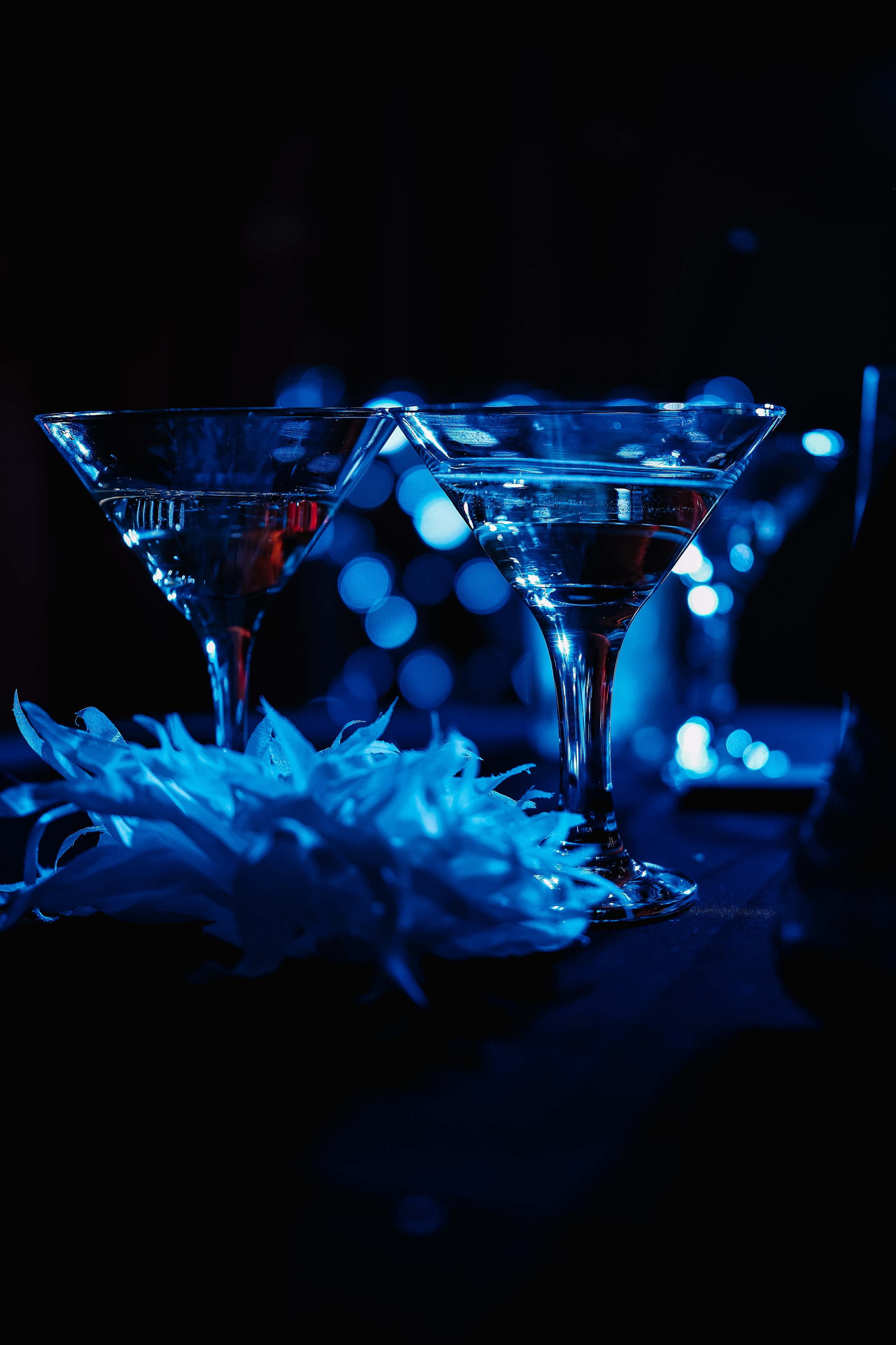 Репортаж. Фотограф и видеограф Анна Жагорина