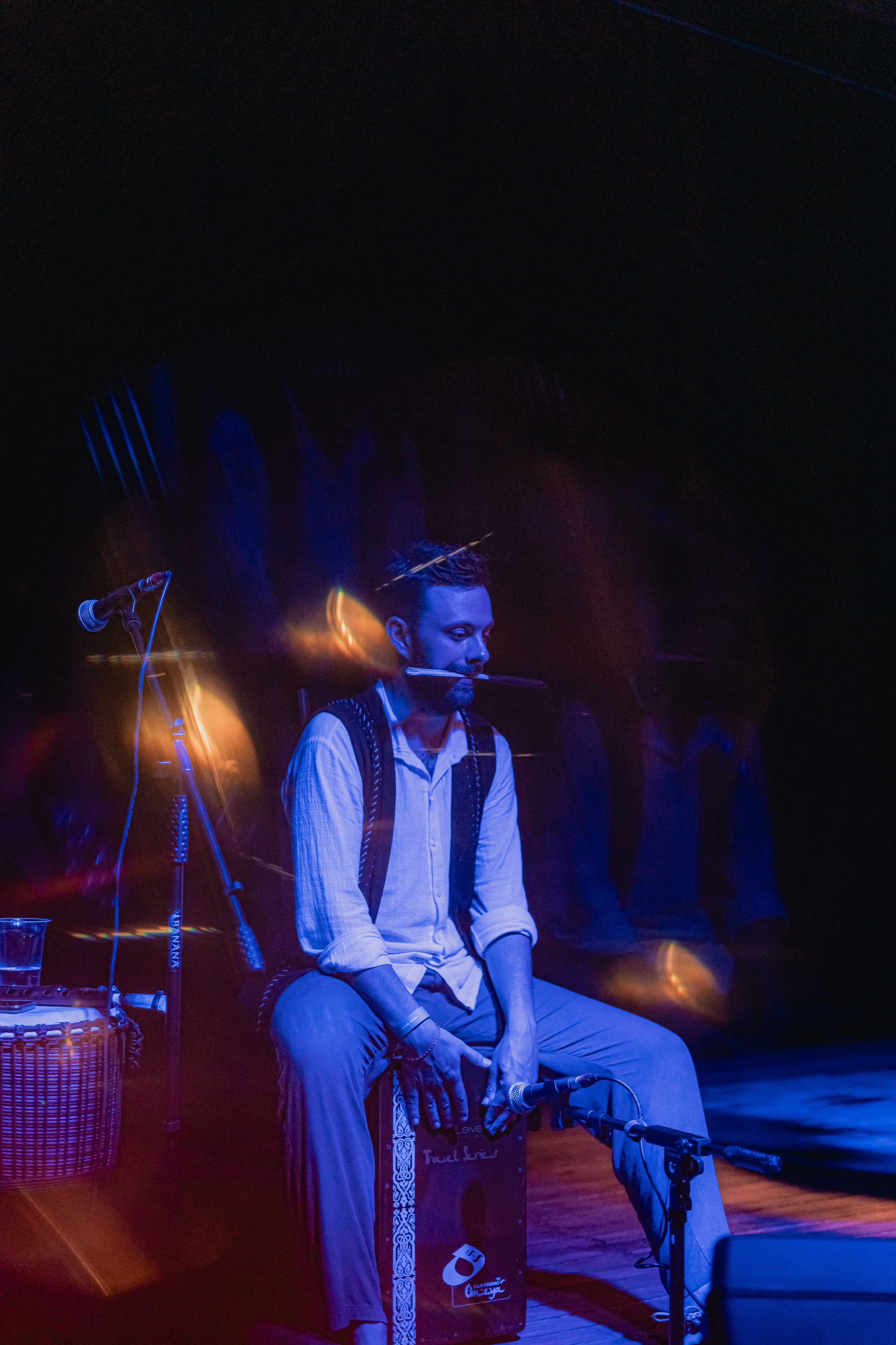 Russian New year. Мариам Багдасарян