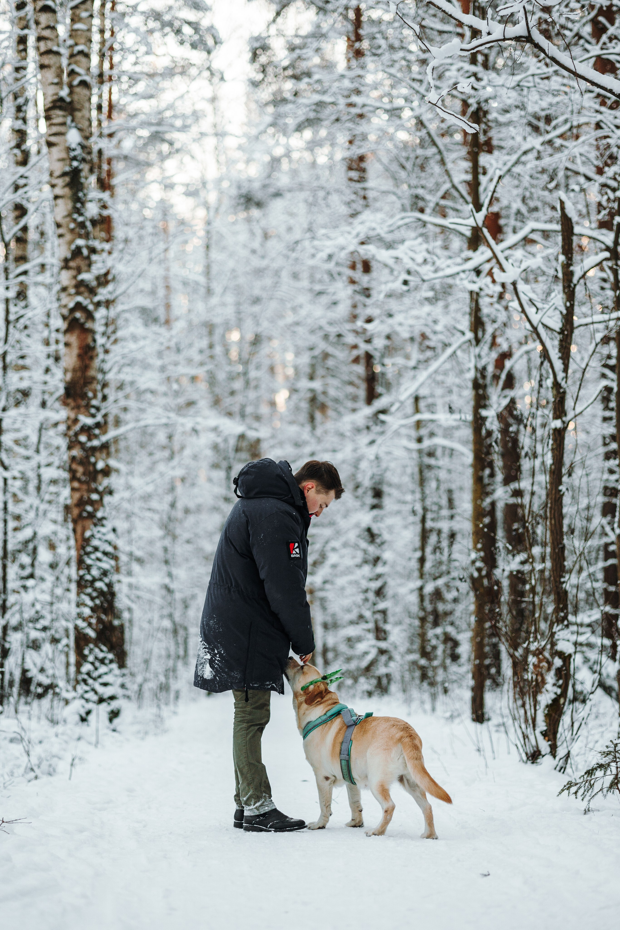 Ребята и их хвостатая семейка. Фотограф — Анималист | Санкт-Петербург