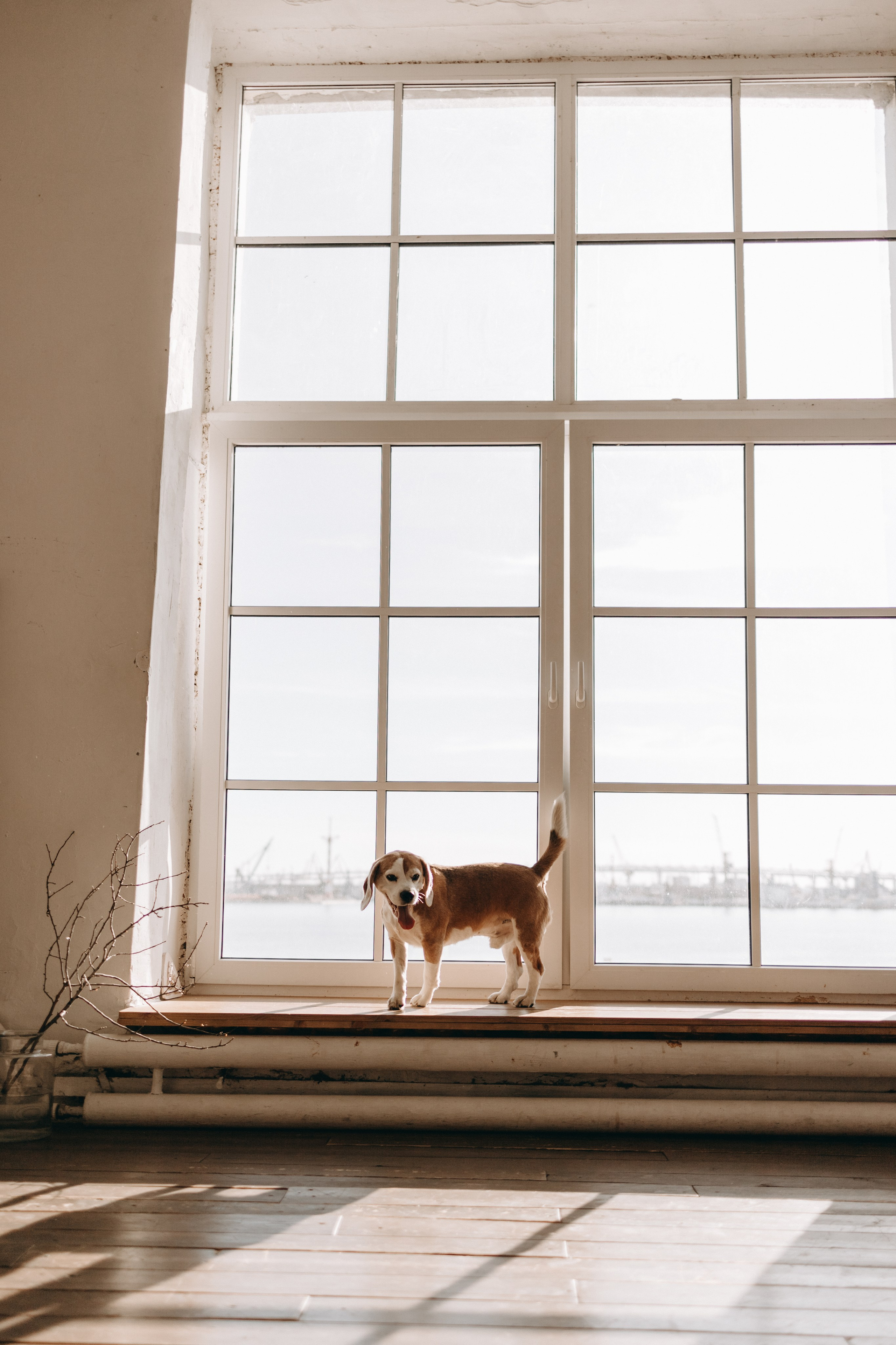 Даня и его семья. Фотограф — Анималист | Санкт-Петербург