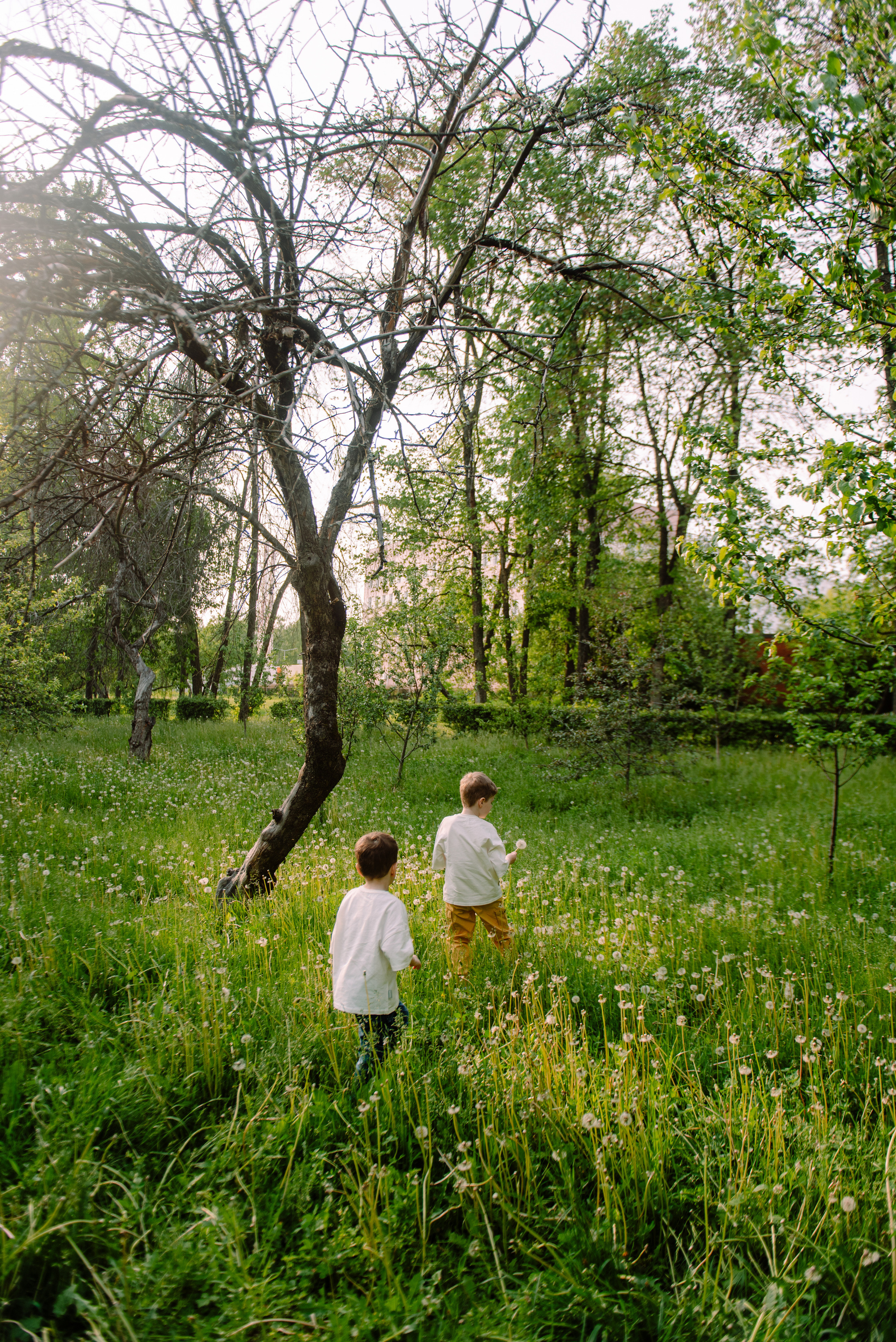 Прогулка в парке. Семейный и свадебный фотограф в Рязани Лиза Голованова
