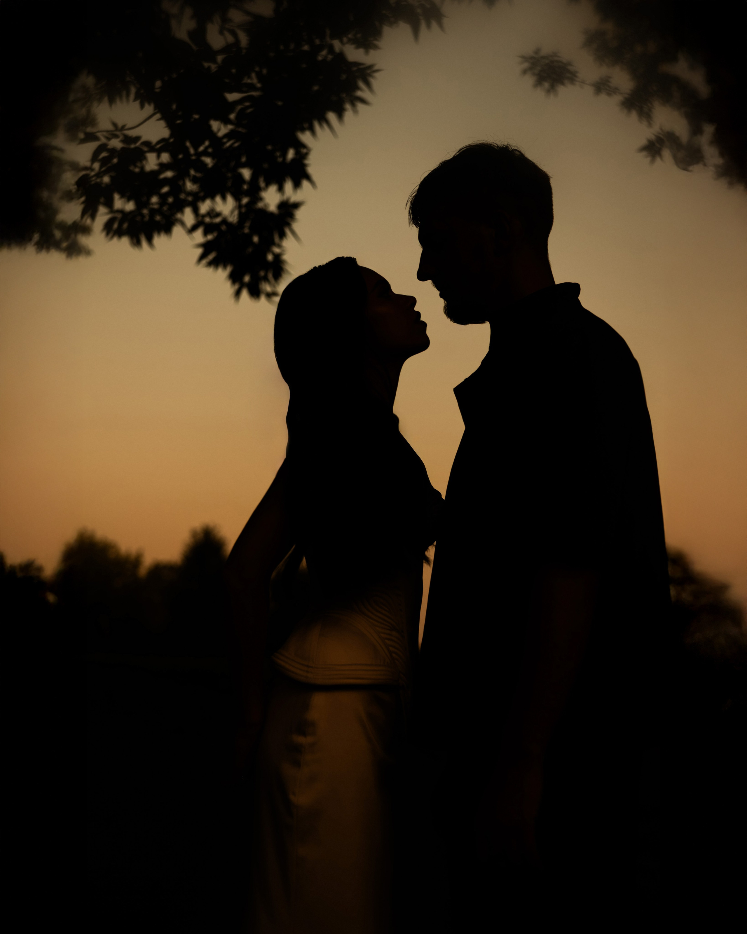 Лебеди. Свадебный фотограф Воронеж Москва СПБ