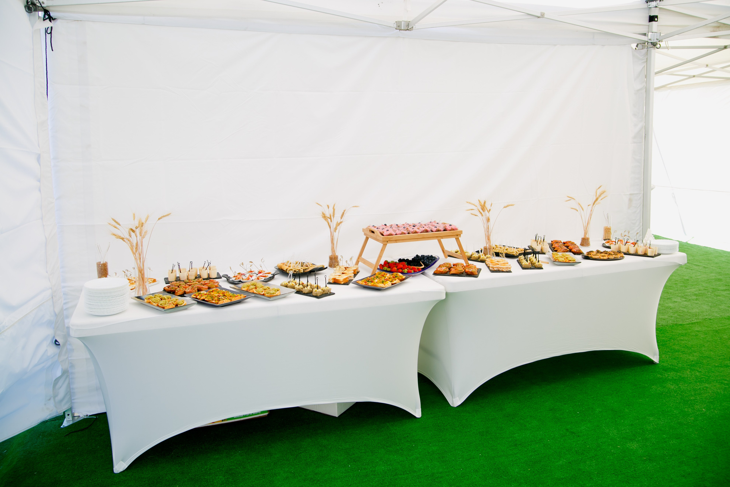 Агротерра. Фотограф Яков Поспехов