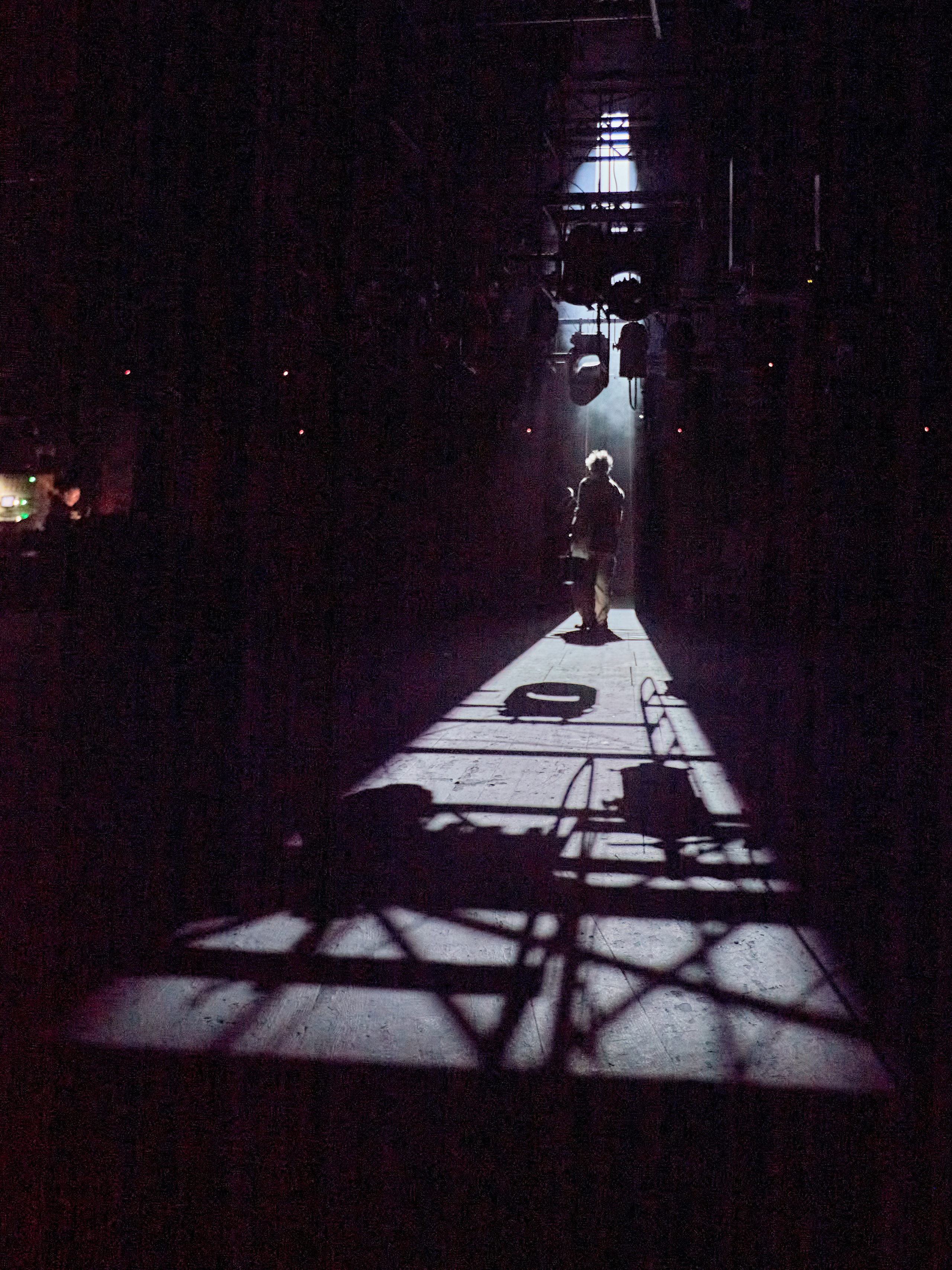 Чайка. Фотограф Юлия Маринина