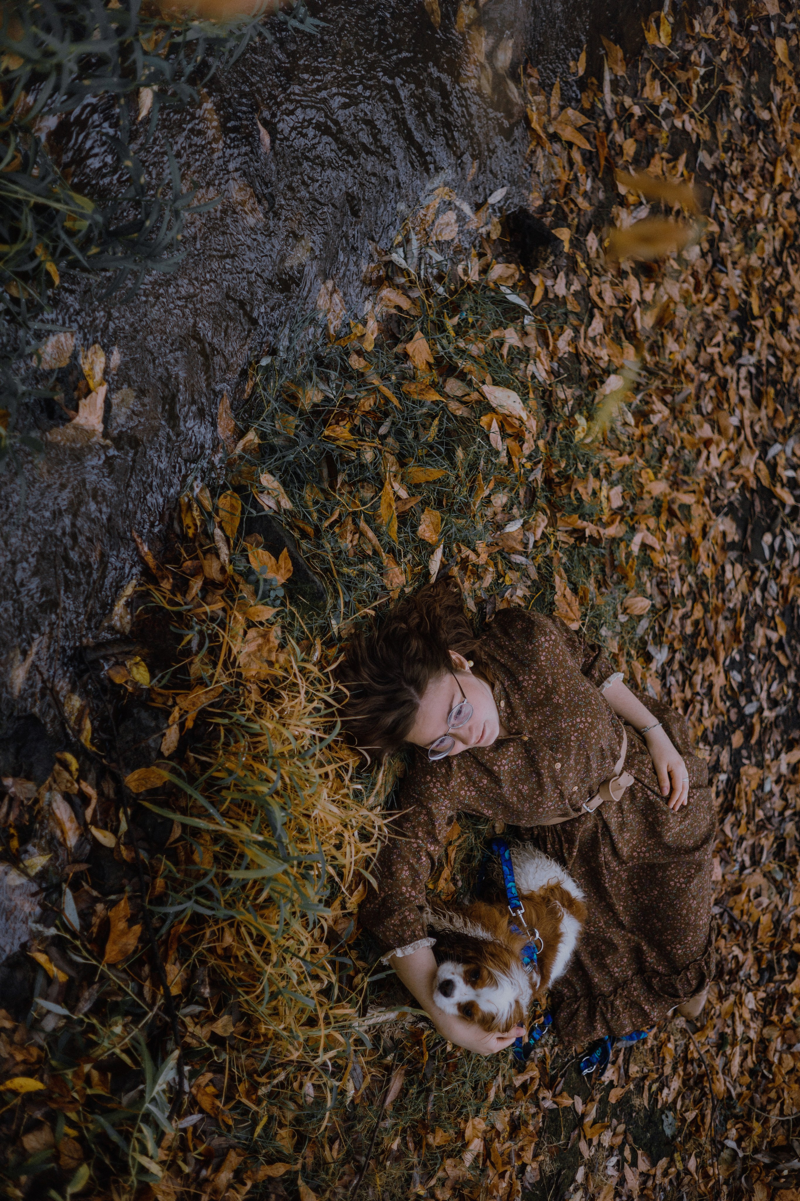 Маша и Дарси. Фотограф-анималист Богданова Полина