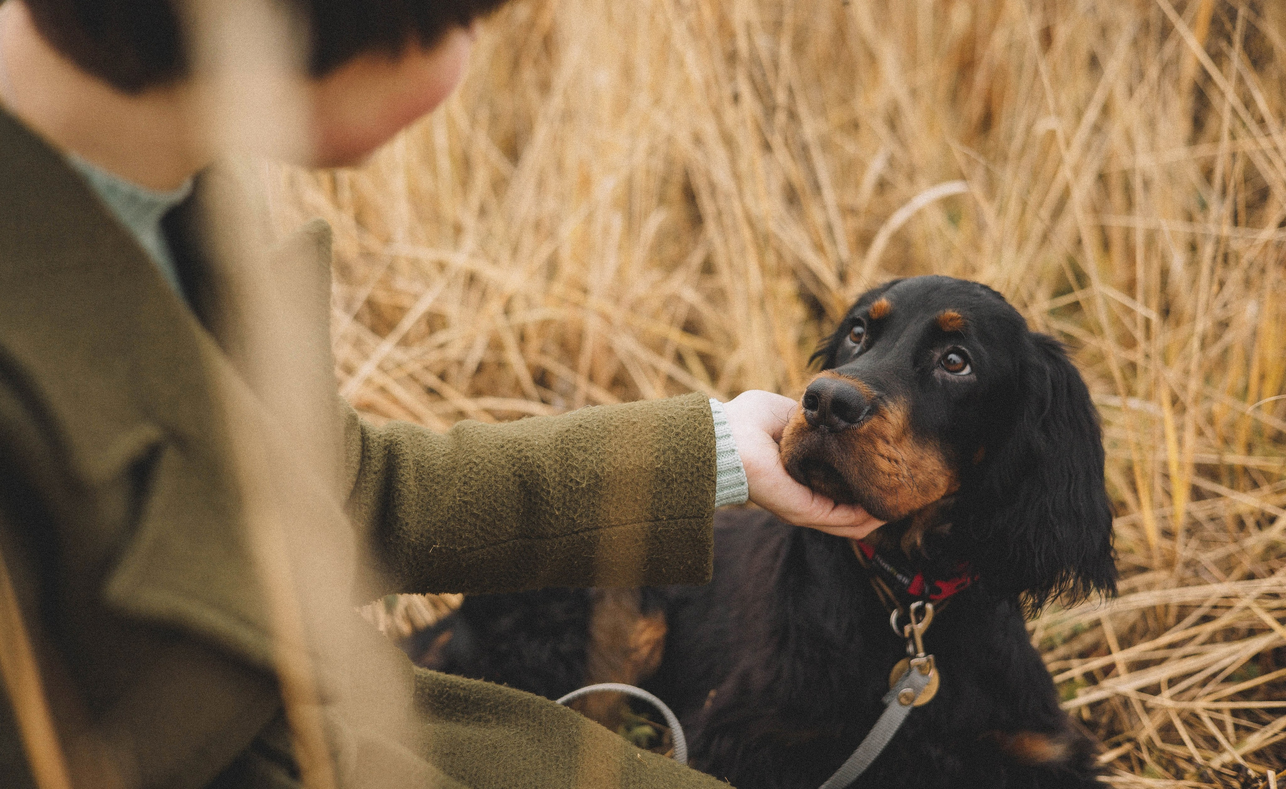 Даша, Глеб, Барс и Бруно. Фотограф-анималист Богданова Полина