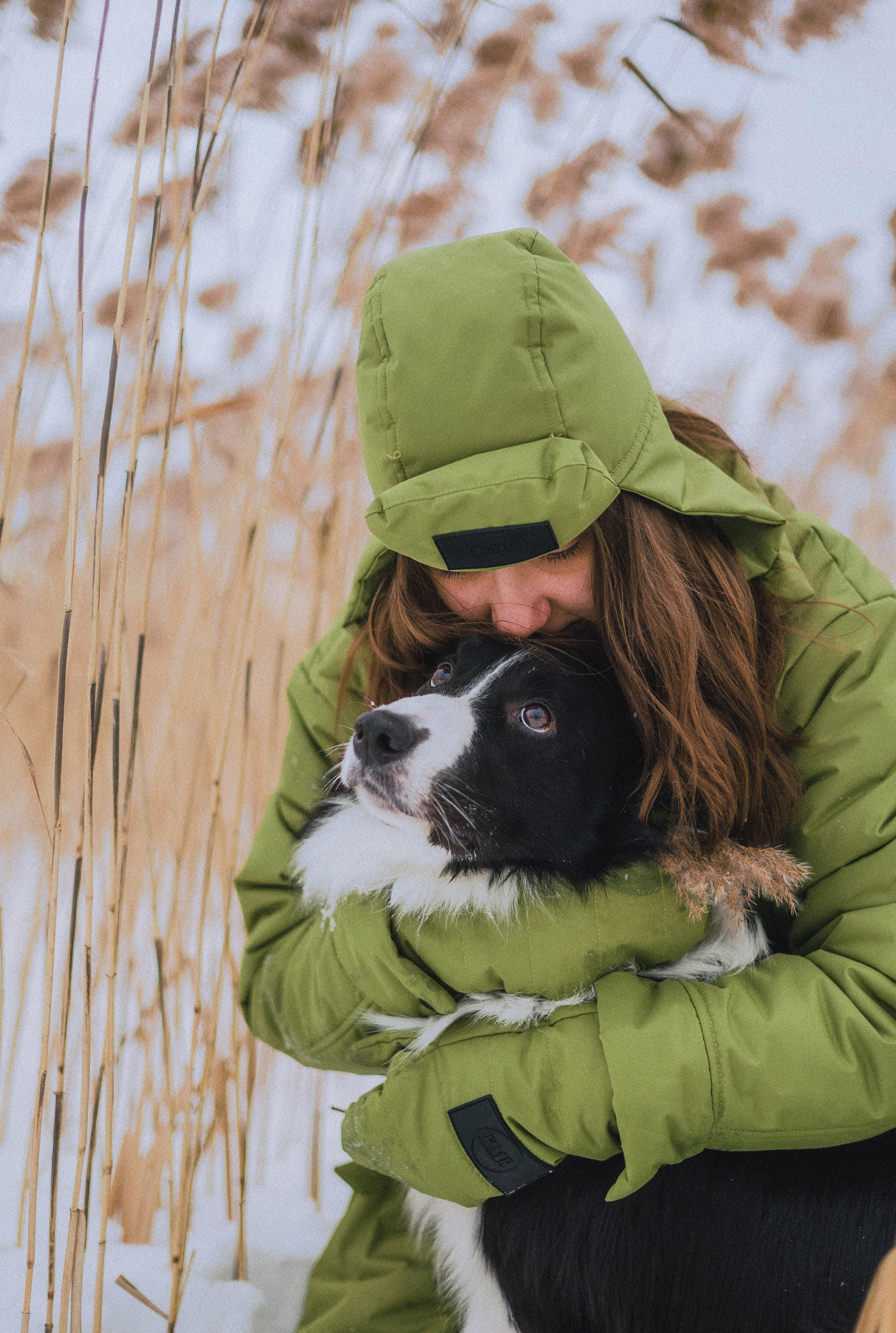 Маша, Рэм и Ньютон. Фотограф-анималист Богданова Полина