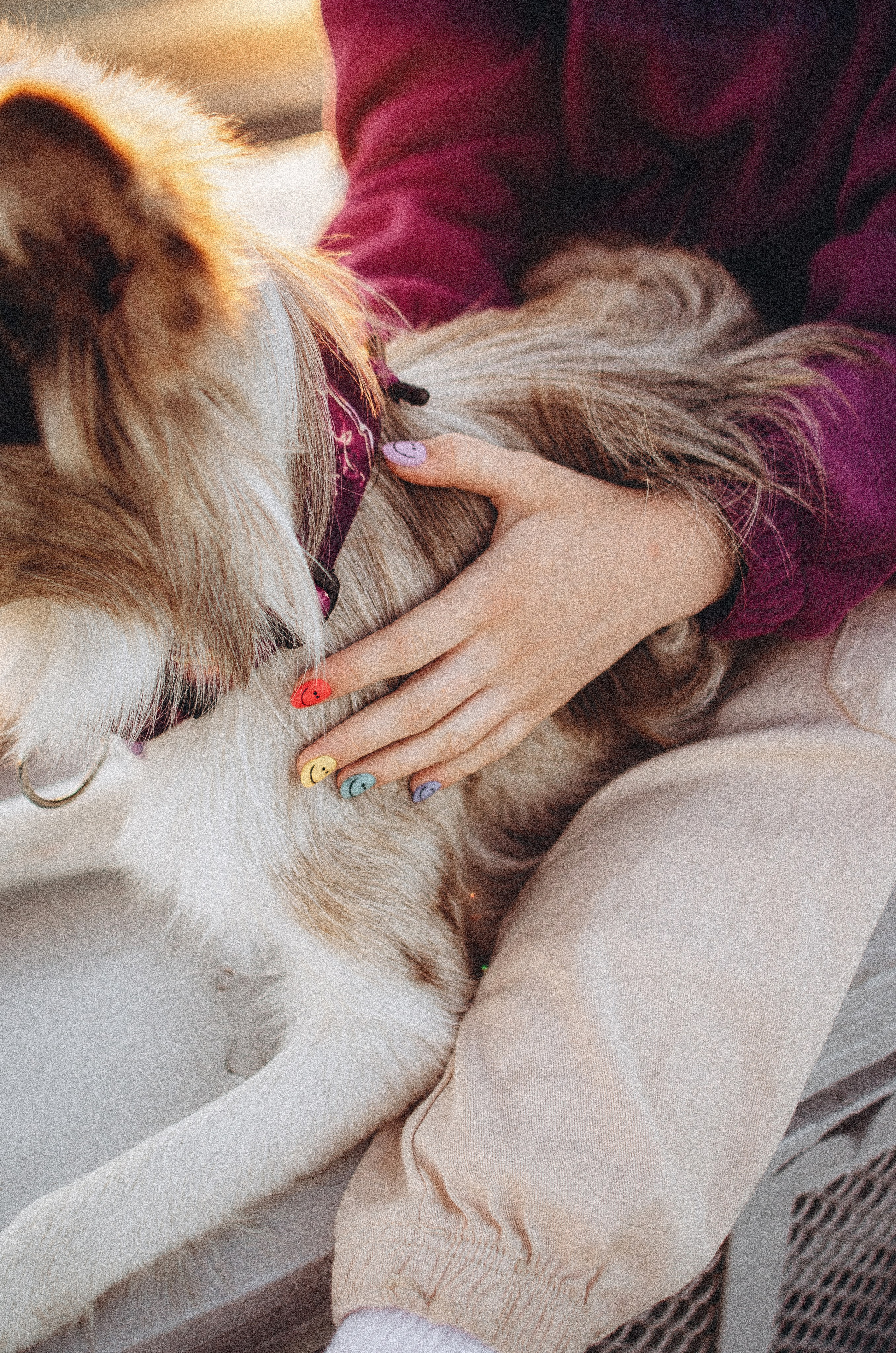 Аня и Дэймон. Фотограф-анималист Богданова Полина