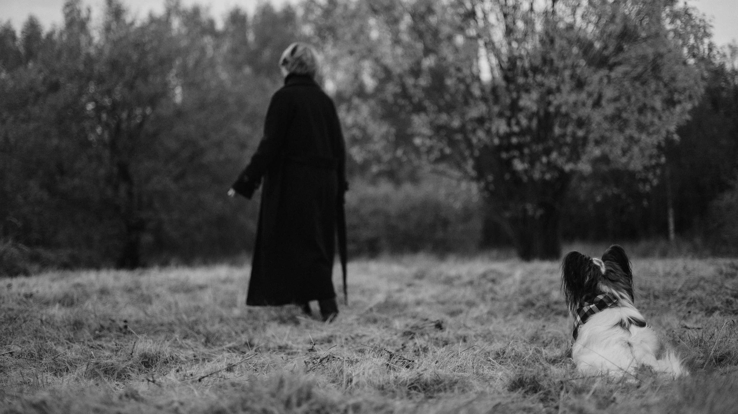 Маша, Катя, Астрид и Мася. Фотограф-анималист Богданова Полина