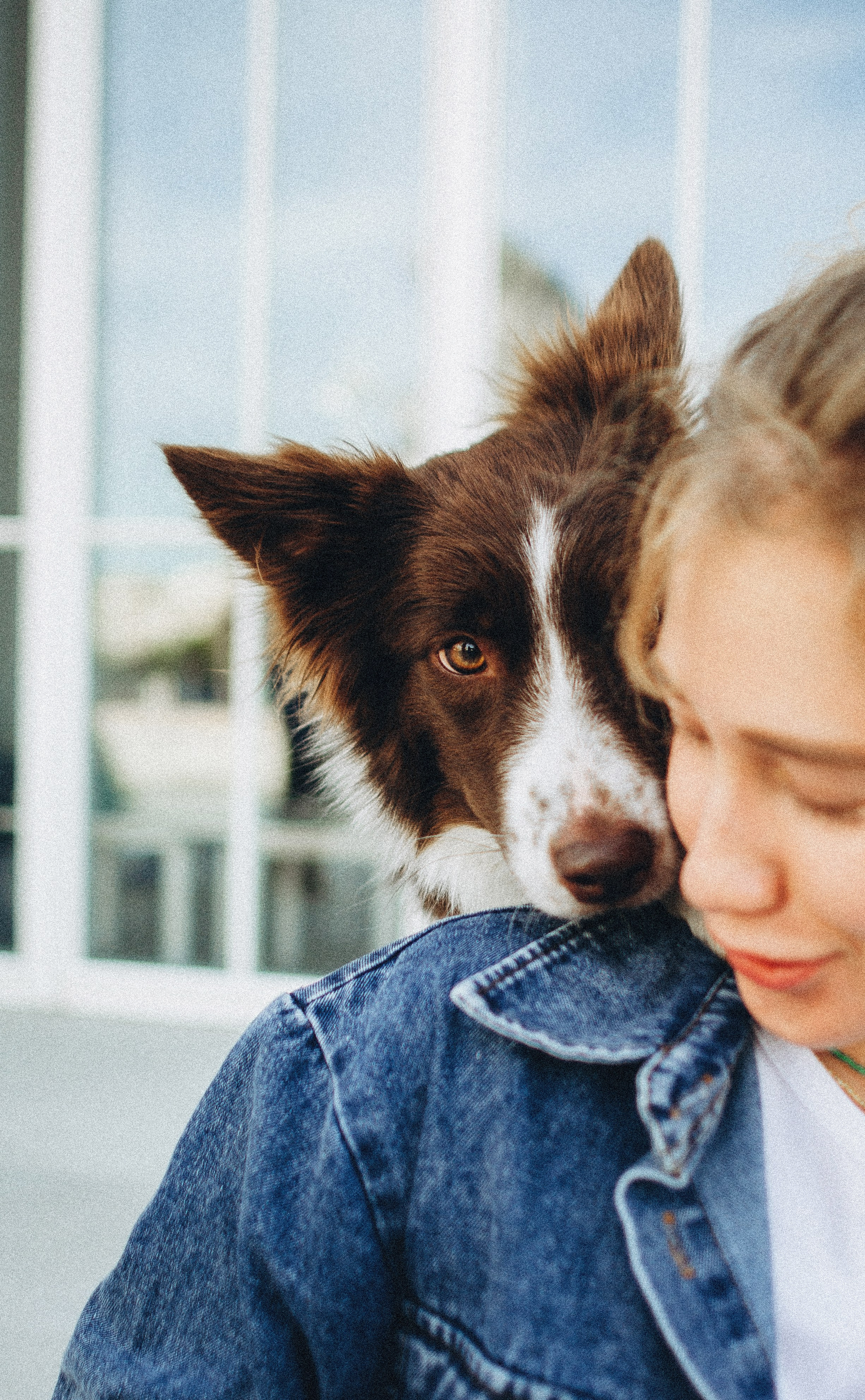 Лиза и Эни. Фотограф-анималист Богданова Полина