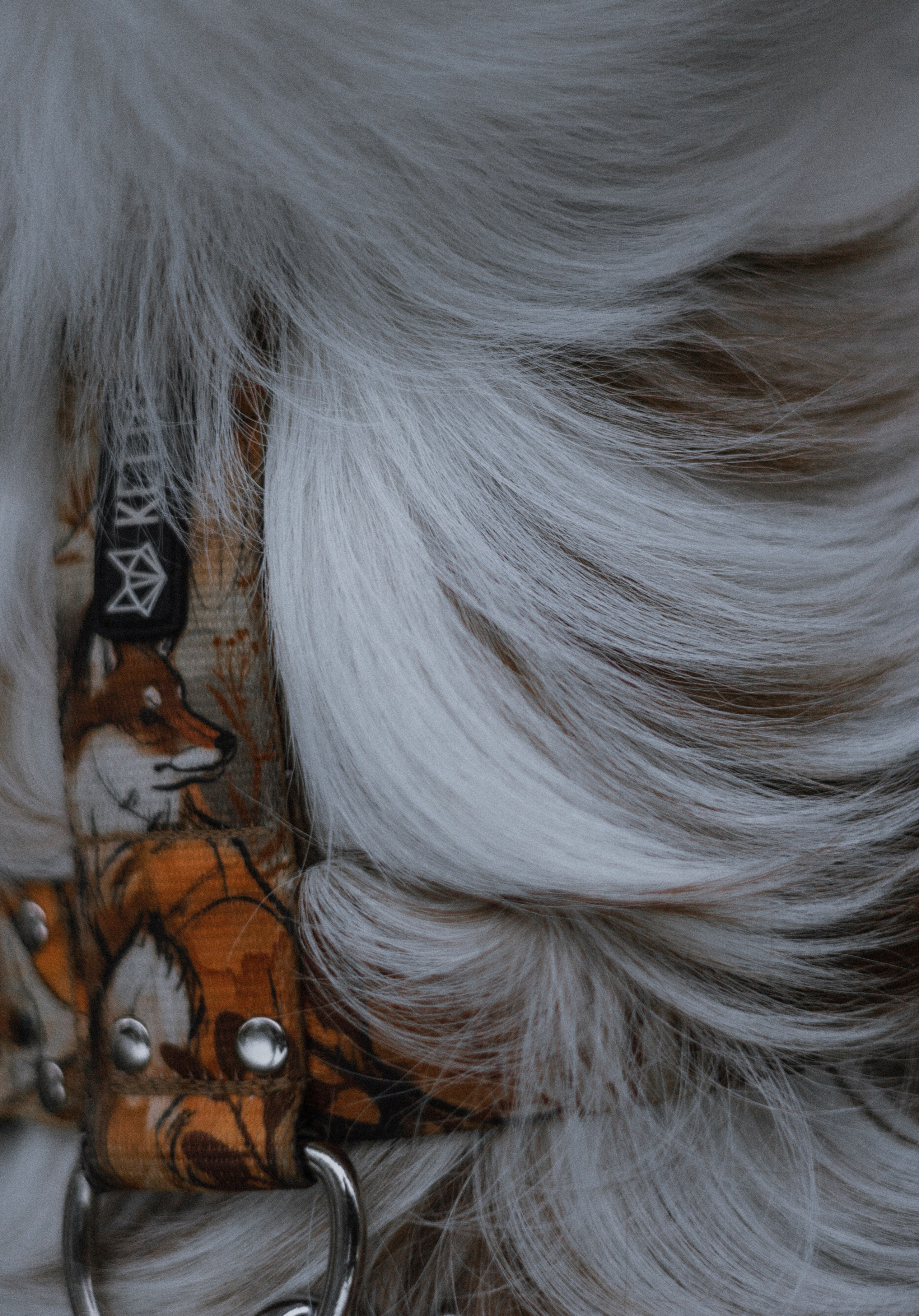 Светлана и Оливия. Фотограф-анималист Богданова Полина